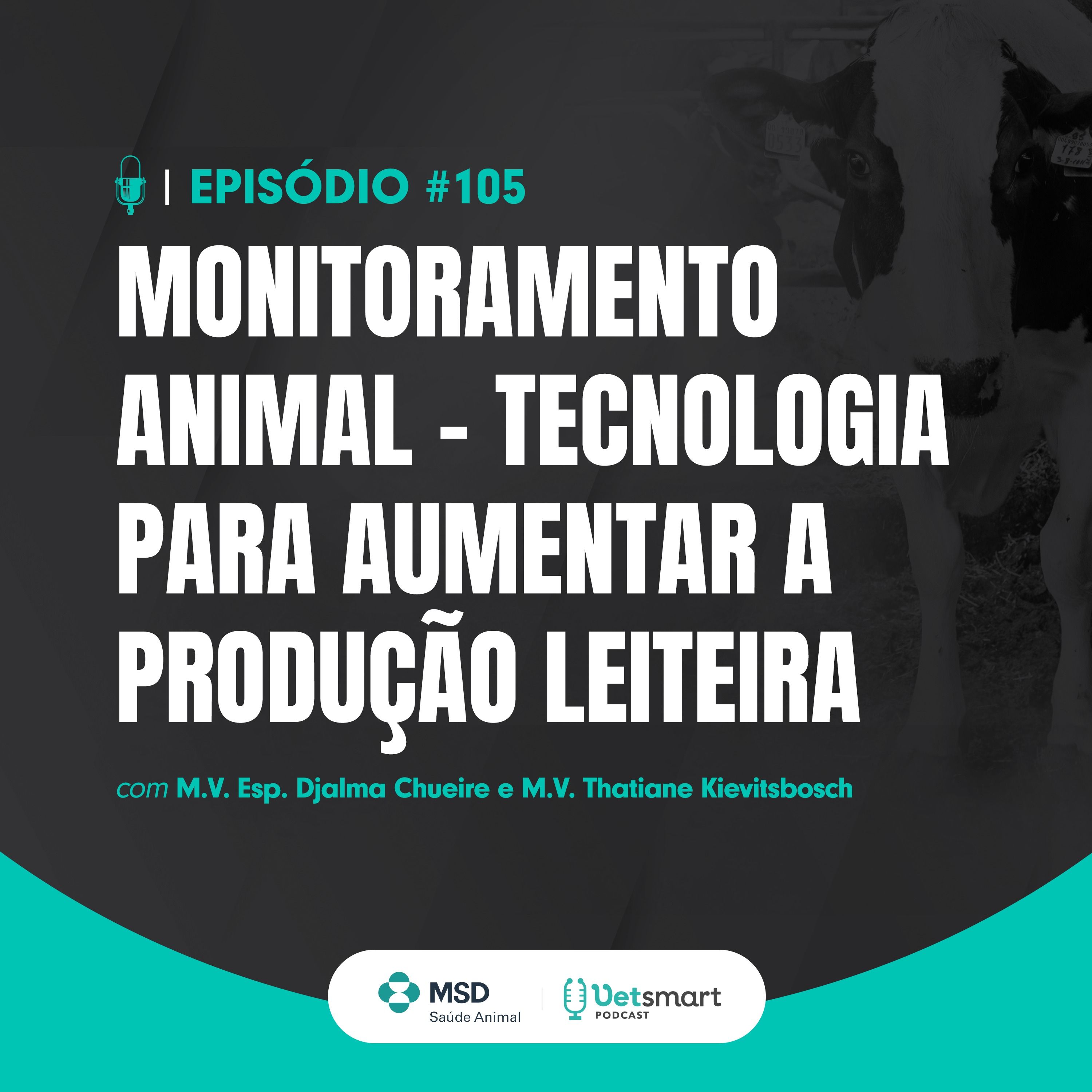 Monitoramento Animal – tecnologia para aumentar a produção leiteira