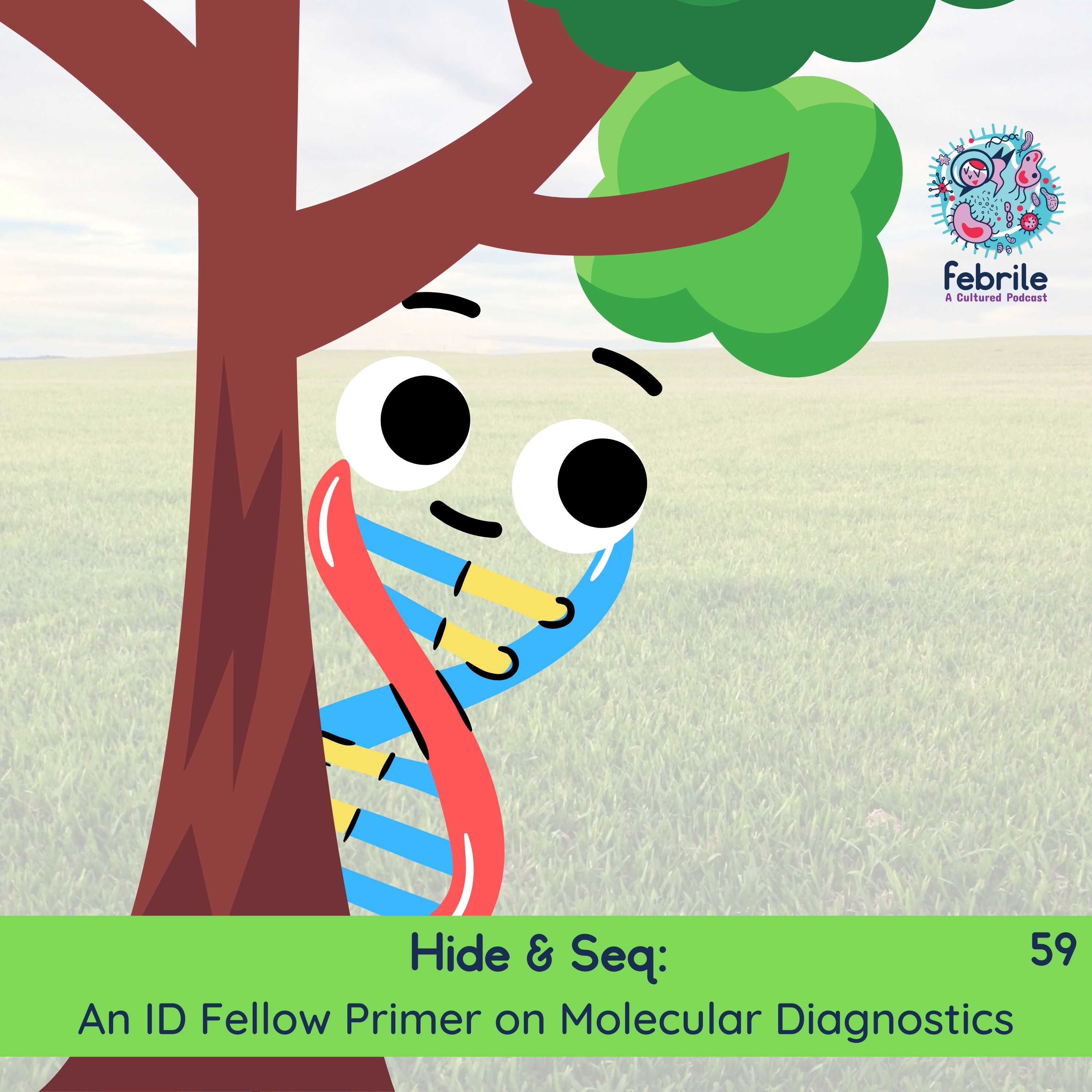 Hide & Seq: An ID Fellow Primer on Molecular Diagnostics