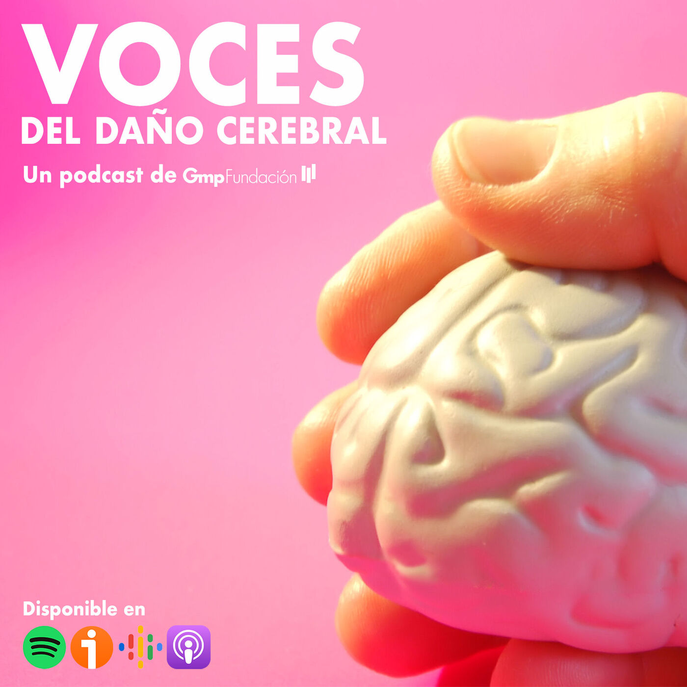 Voces del Daño Cerebral 