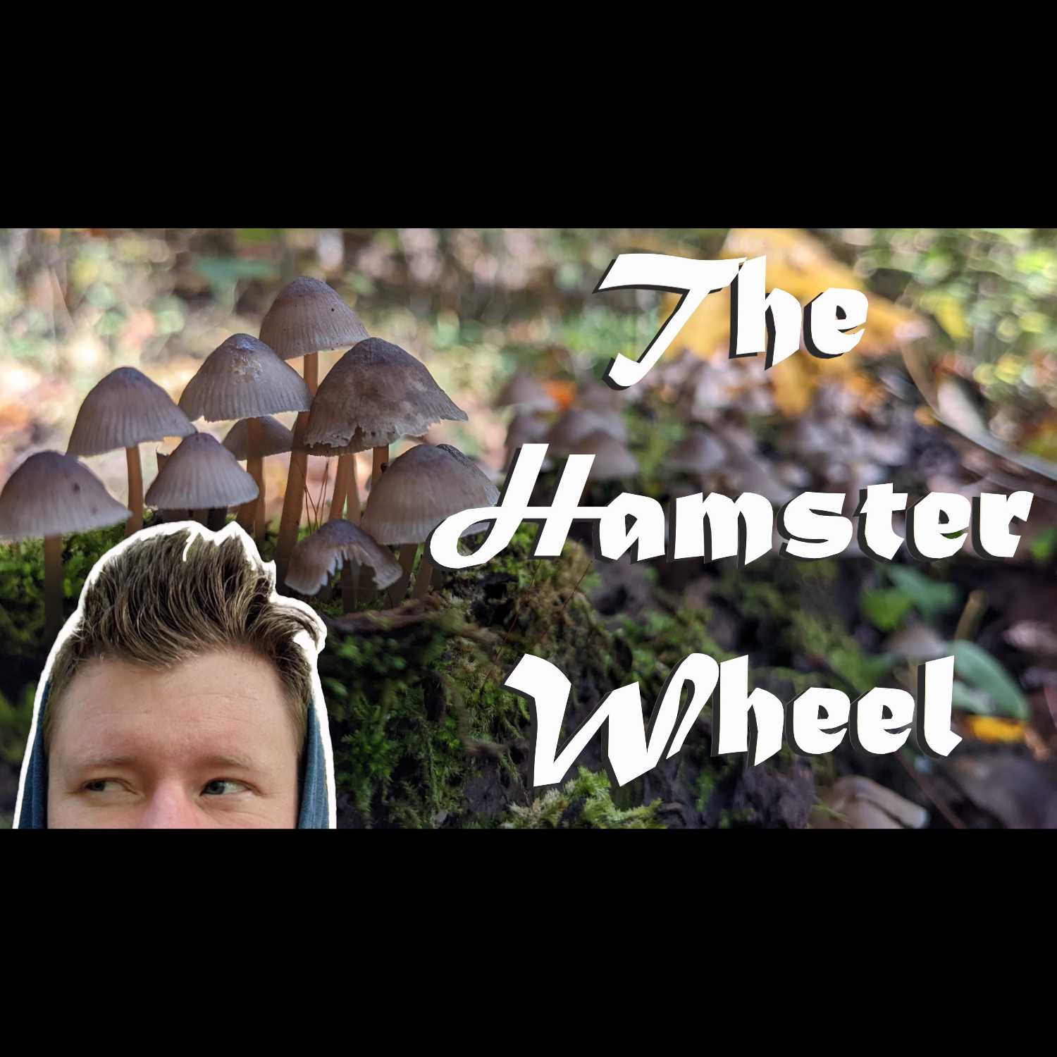 Day 127 - The Hamster Wheel