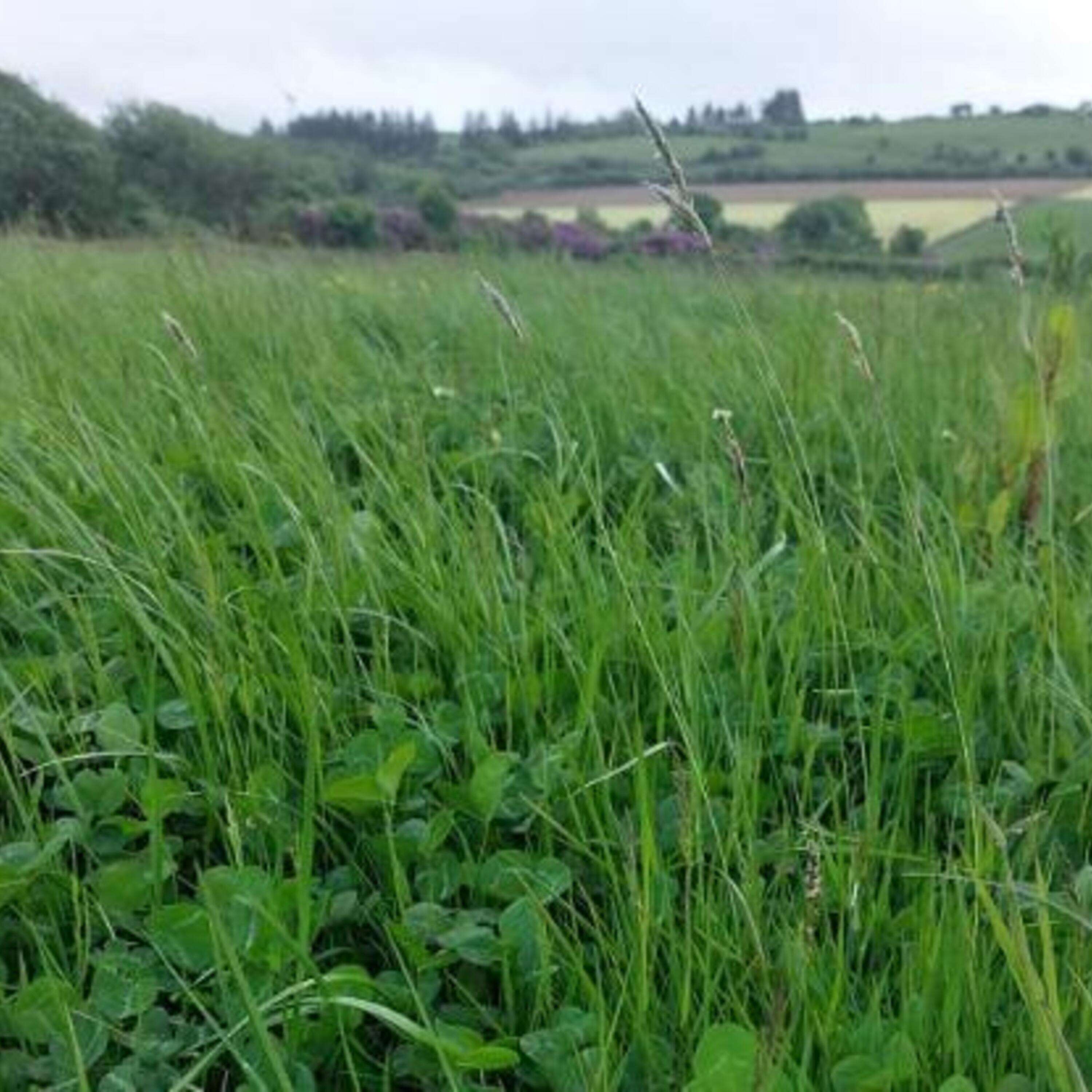 Key Learnings from the Heavy Soils Programme