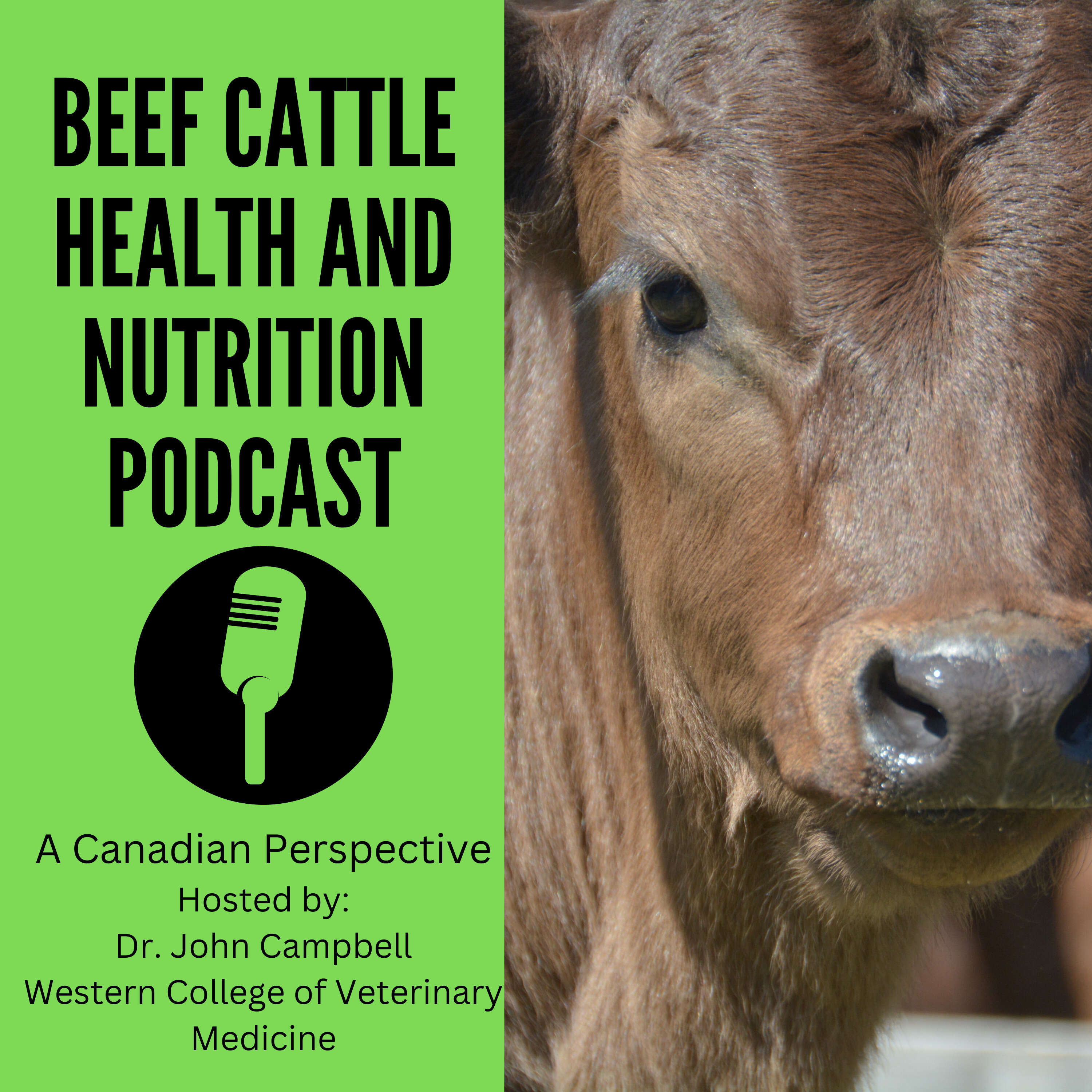 Feed testing with Dr. John McKinnon