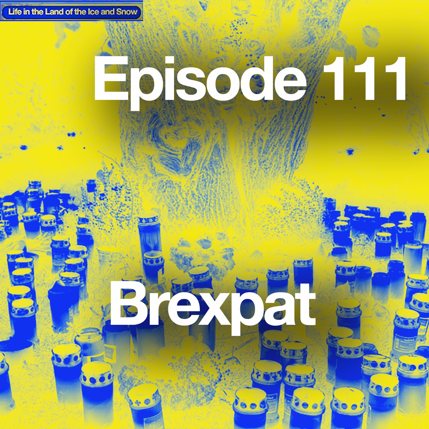 #111 Brexpat