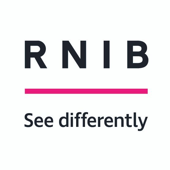 RNIB Voice of the Customer Focus Groups Update - Travel and Transport