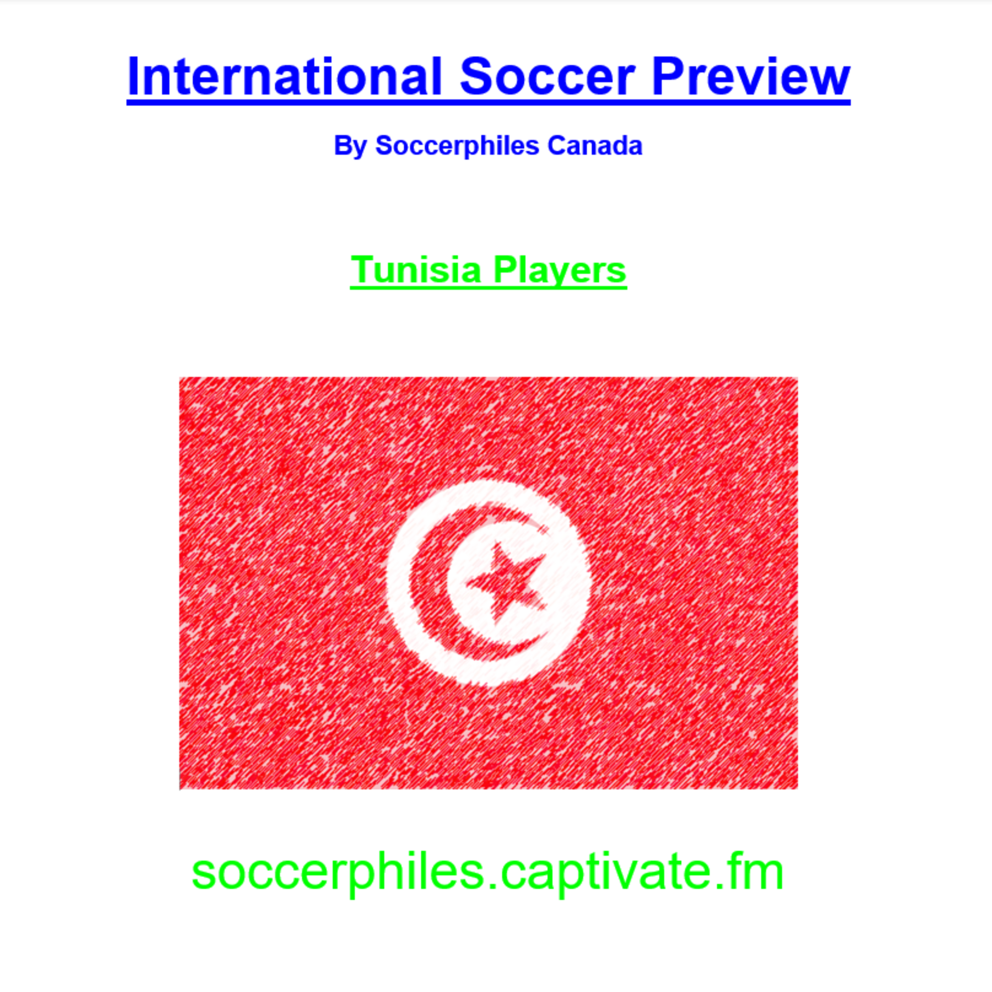 ⁣World Cup 2022 - Group D – Tunisia Players – Short Version