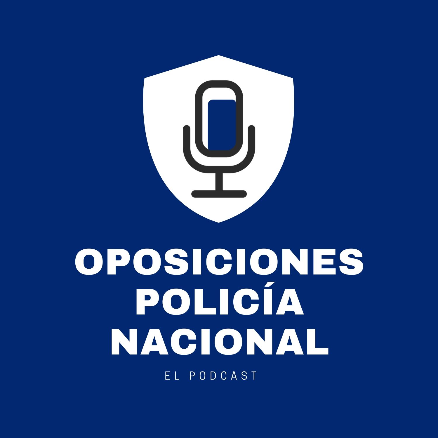 Las armas de la Policía Nacional