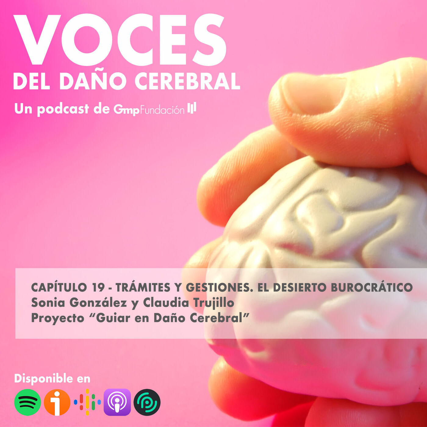 VOCES DEL DAÑO CEREBRAL. Capítulo 19 – Trámites y gestiones. El desierto burocrático