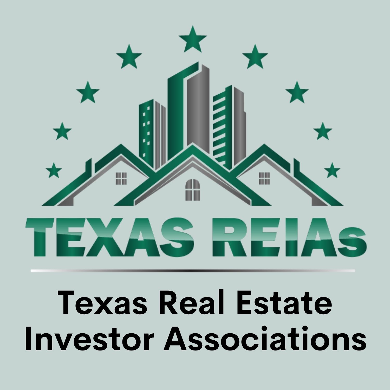 Texas REIAs 