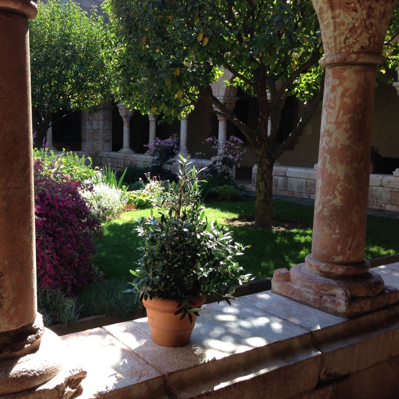 Morning Prayer - Saturday, August15, 2020 - Audio