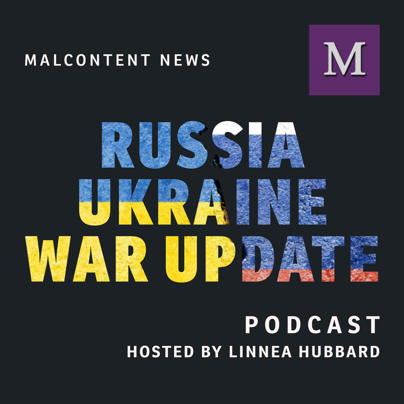 The Russia-Ukraine War Report 