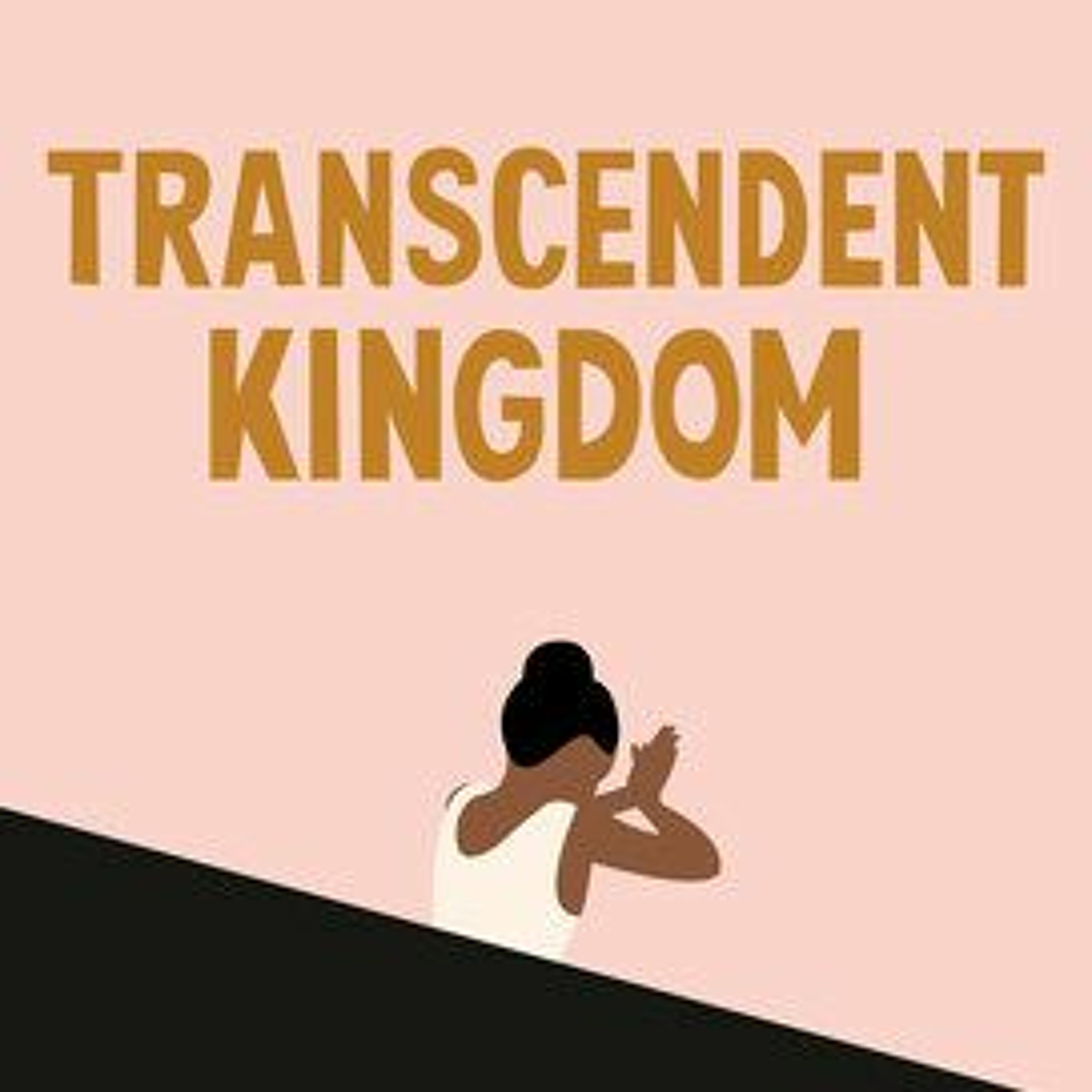 ⁣Transcendent Kingdom by Yaa Gyasi