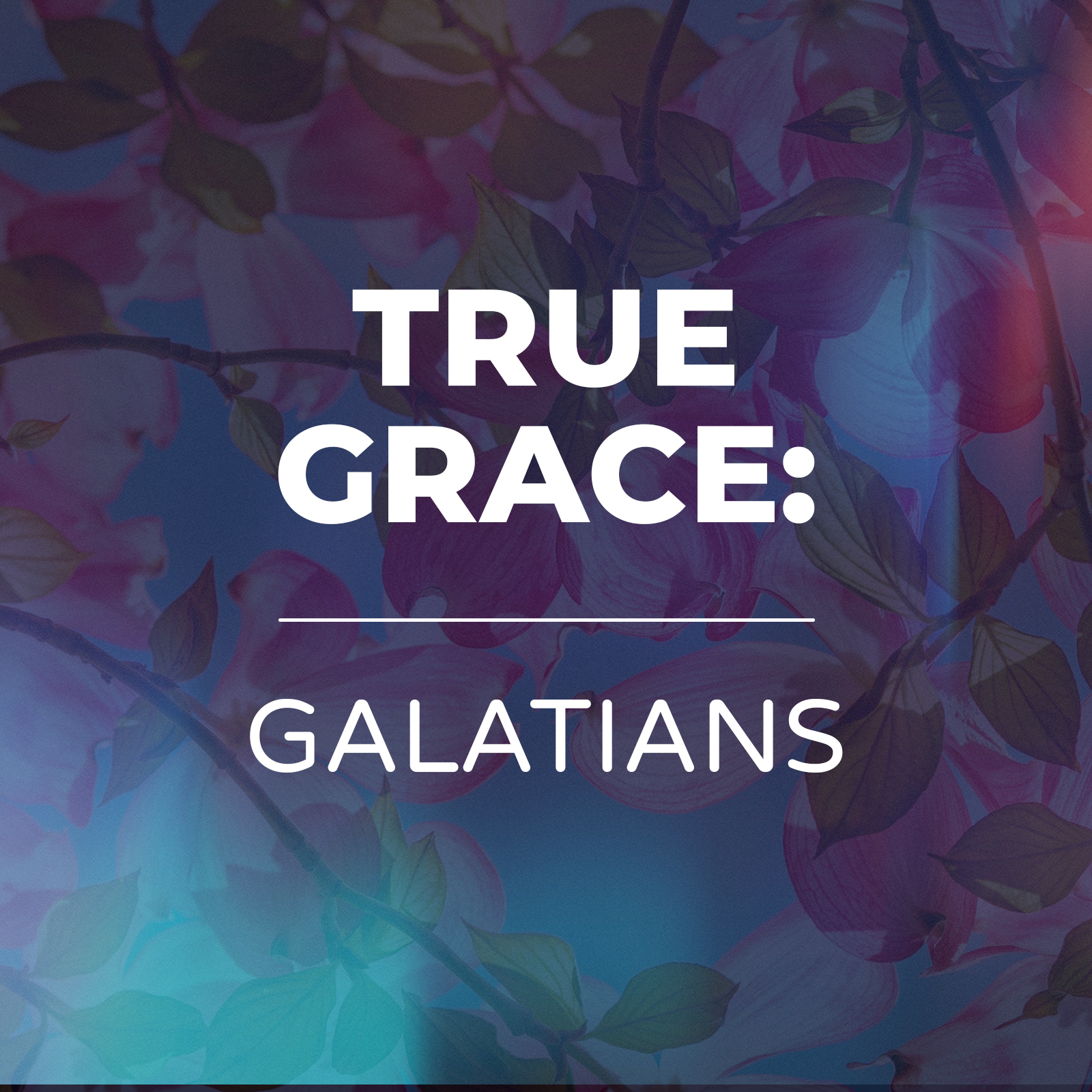 30th October 2022, AM – Law and Grace – Galatians 2:17-21