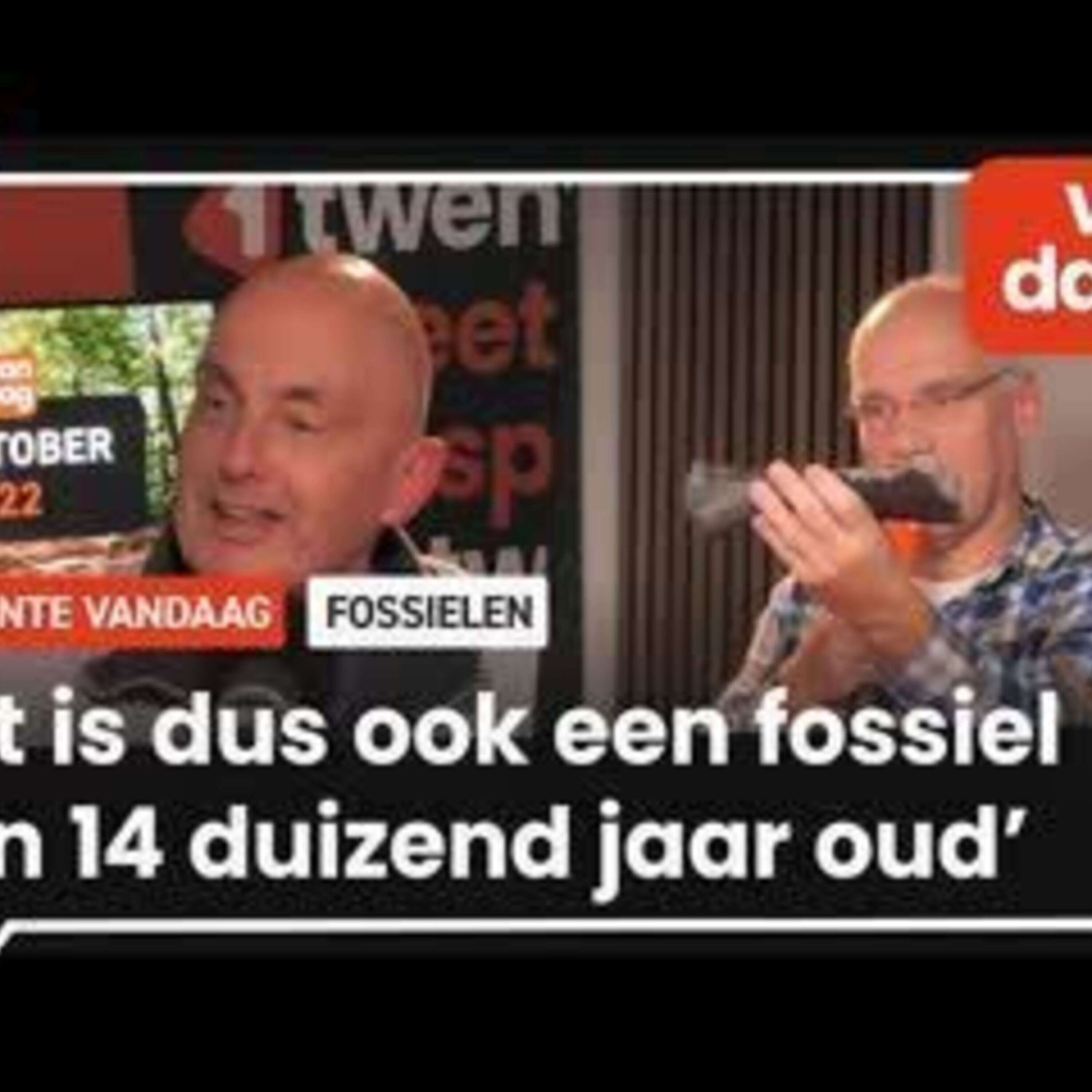 Twentse amateur-paleontologen over hun fascinatie voor fossielen