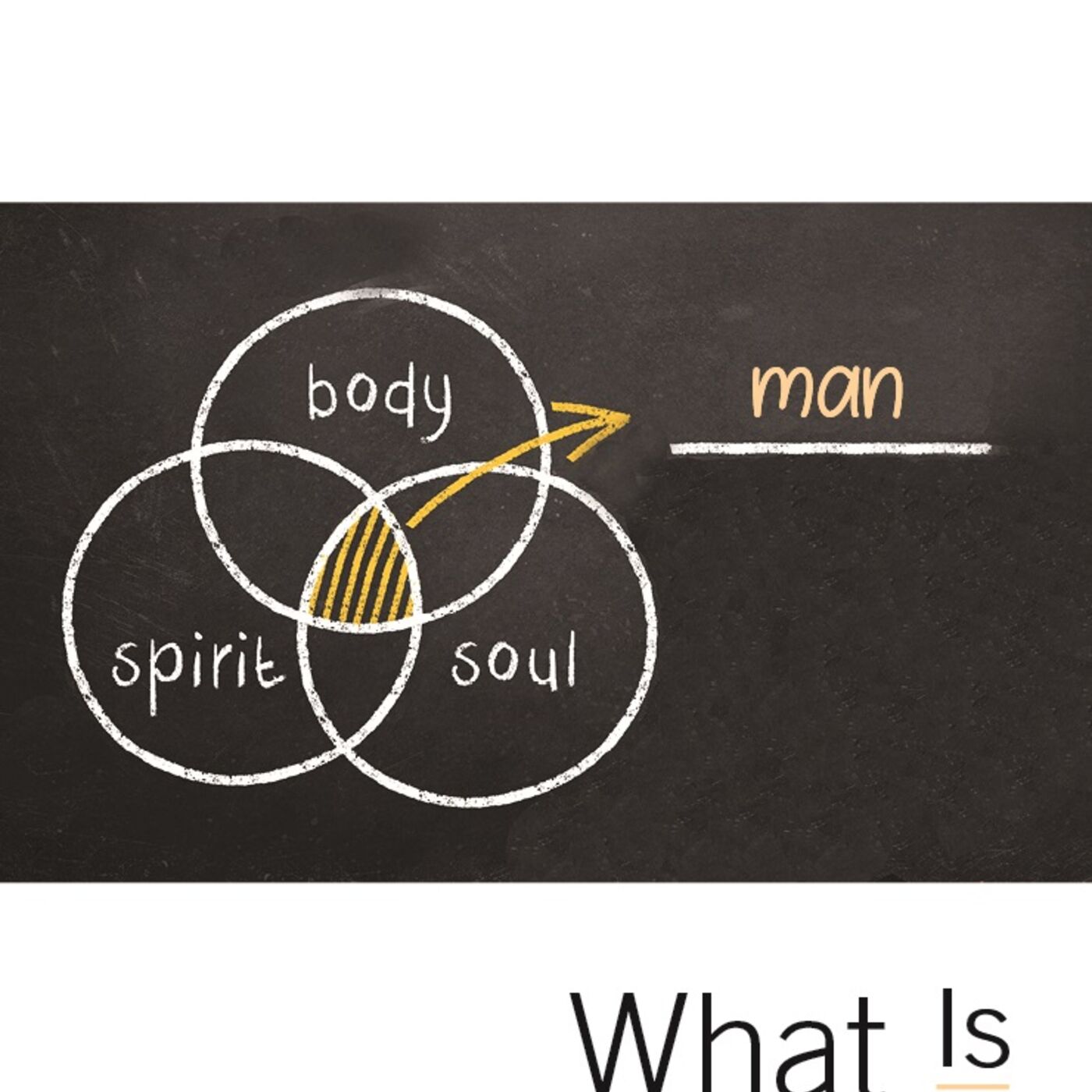 Functions of the Soul