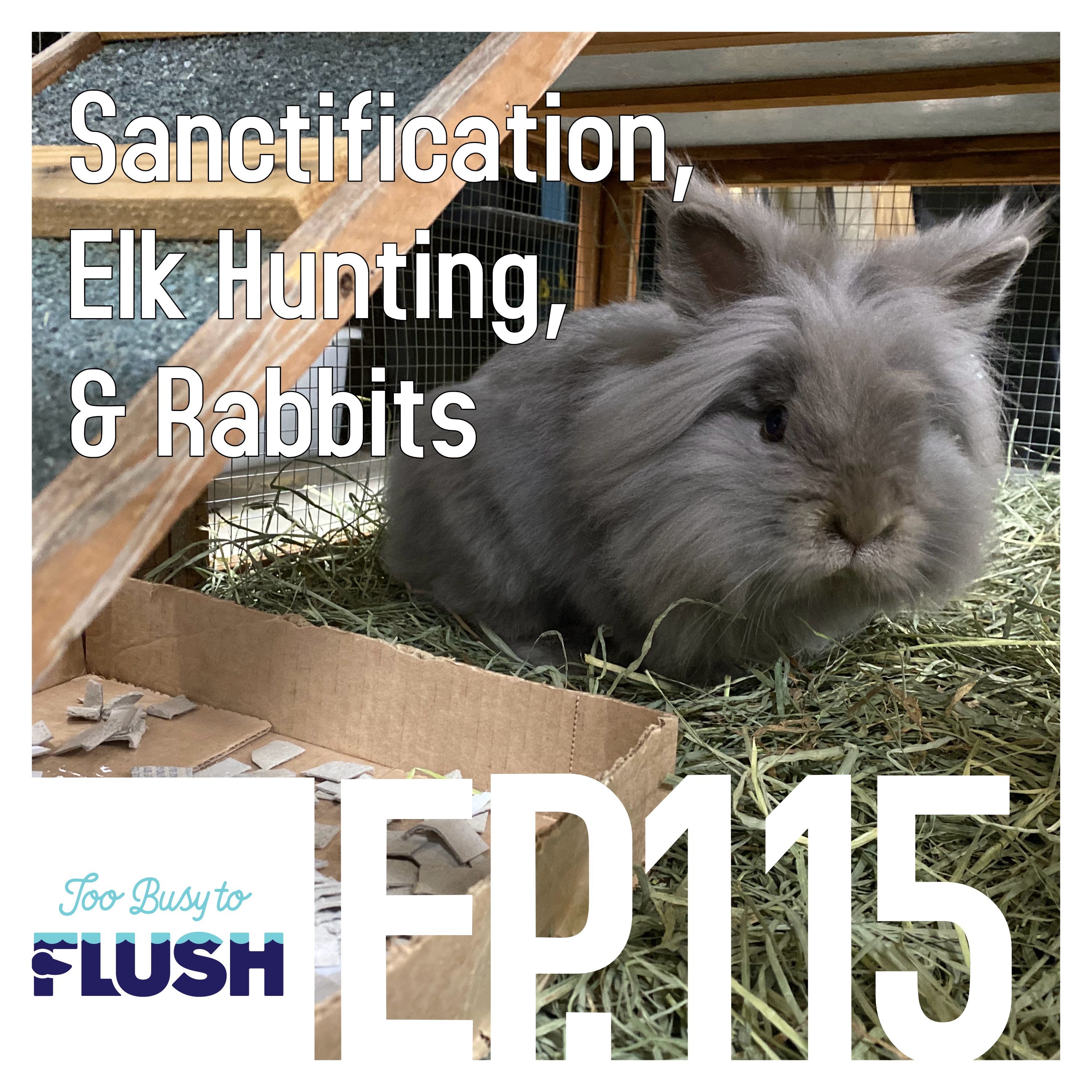 Sanctification, Elk Hunting, & Rabbits