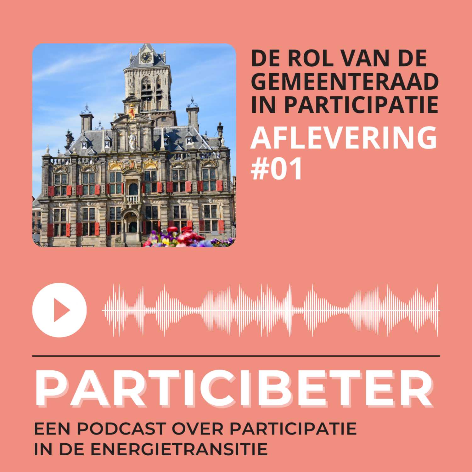 De rol van de gemeenteraad