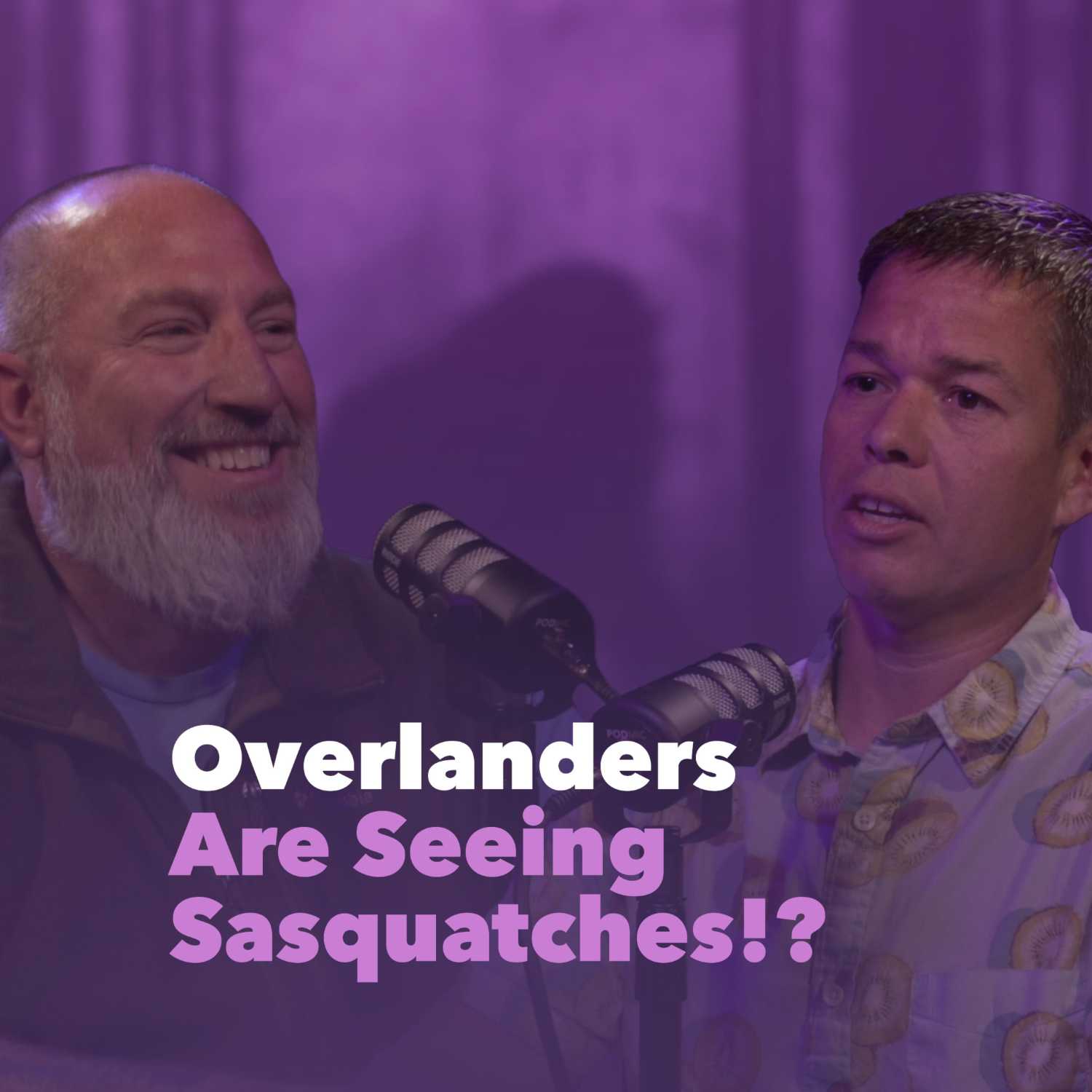 Overlanders Are Seeing Sasquatches!? | Michael Hyden