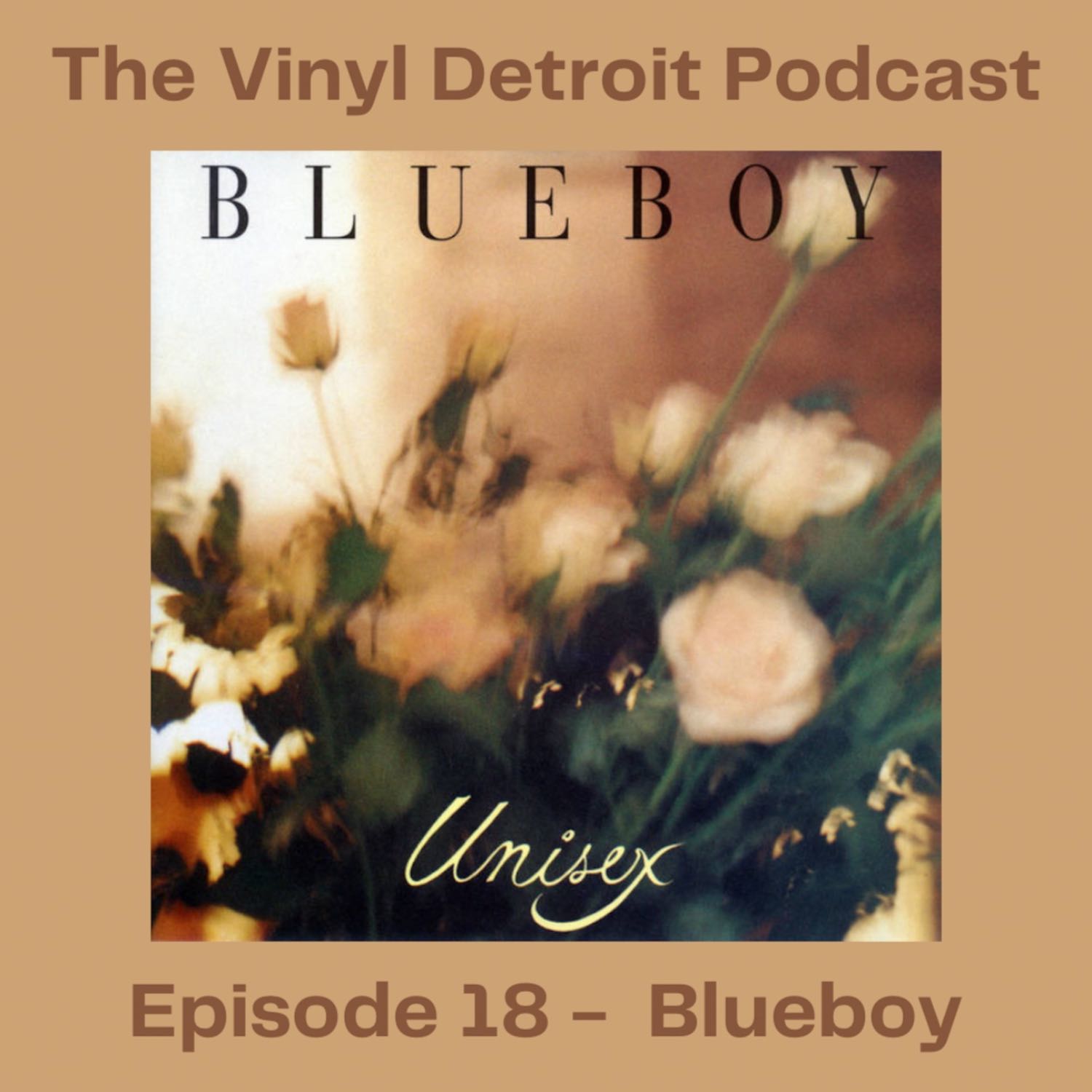 The Vinyl Detroit Podcast - Blueboy