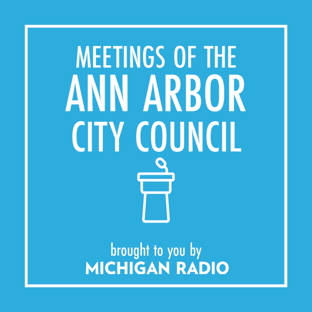 Ann Arbor City Council Meeting 11/21/22