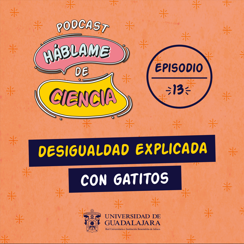 Desigualdad explicada con gatitos