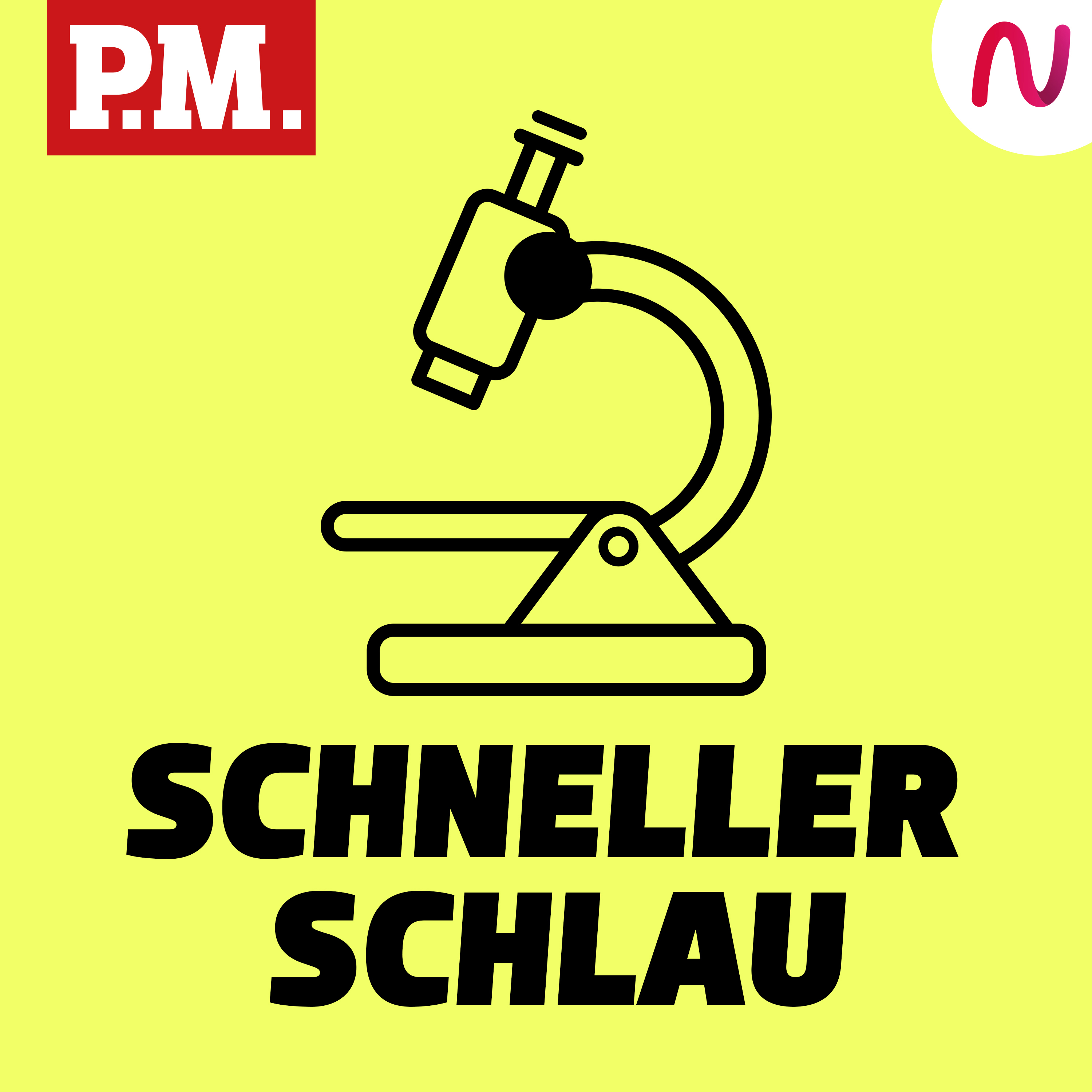 Schneller schlau - Der kurze Wissenspodcast von P.M. 