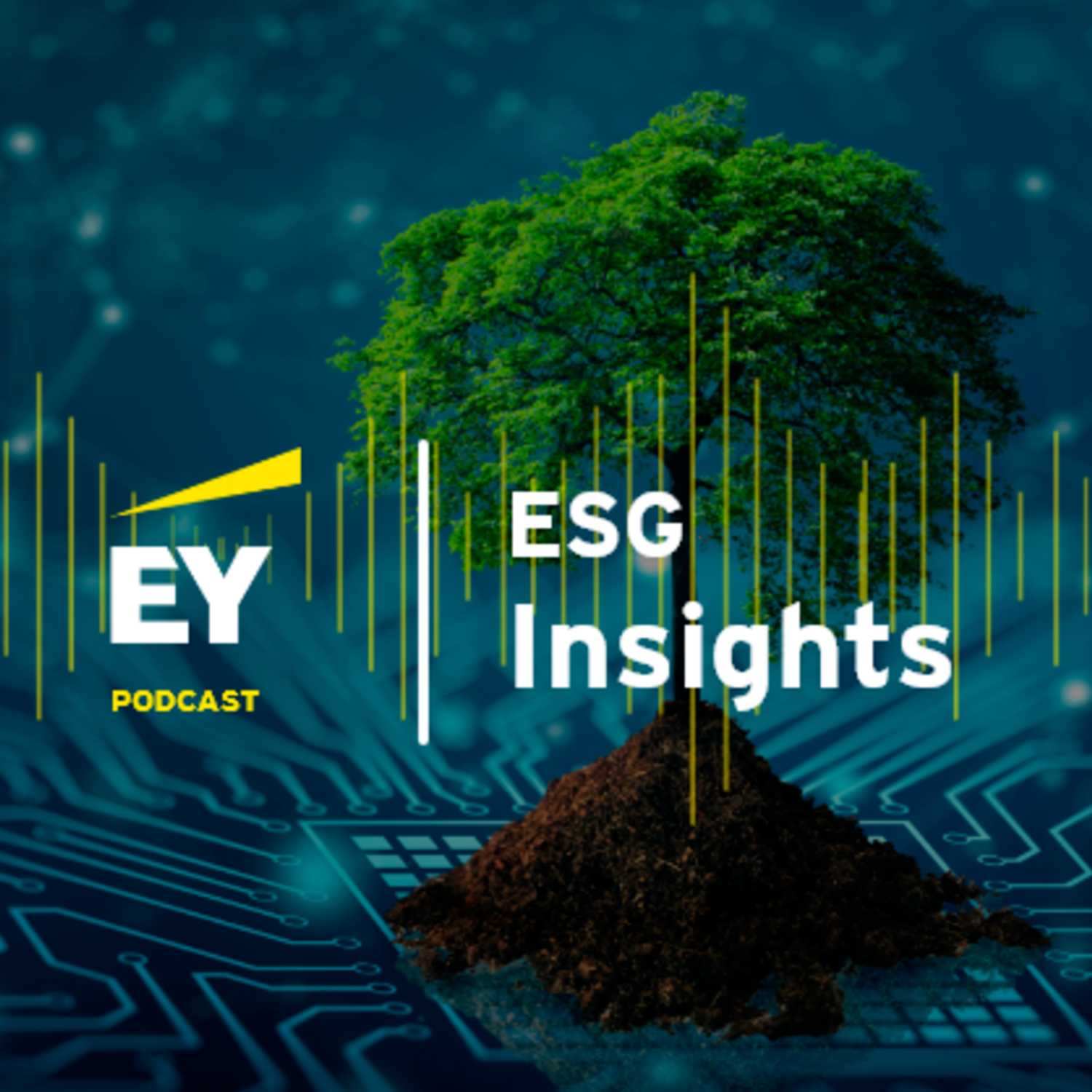 ESG Insights: The commitment to net zero: is it a greenwash?