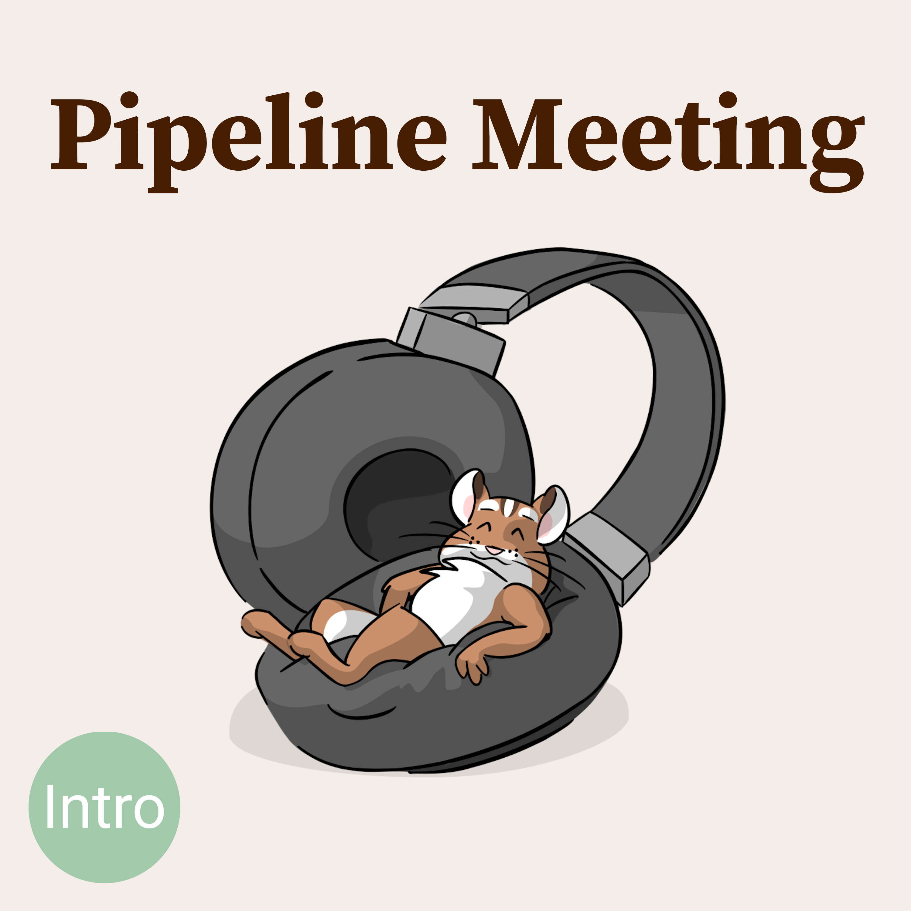 Pipeline Meeting 