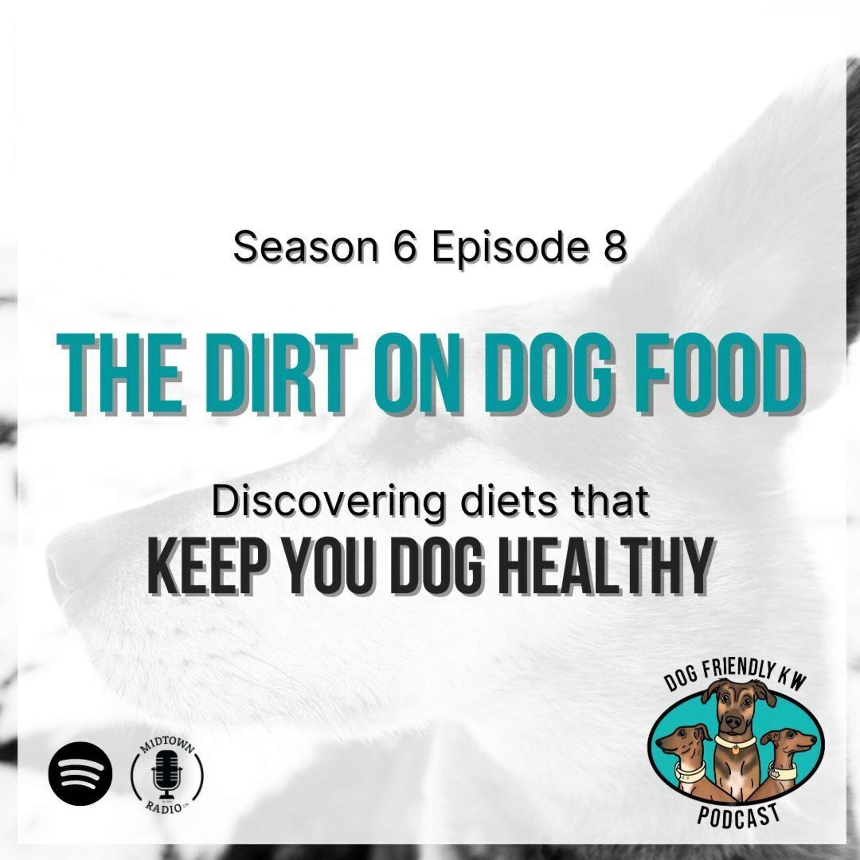 Full Episode: The DIRT ON DOG FOOD and what diets keep your dog healthy