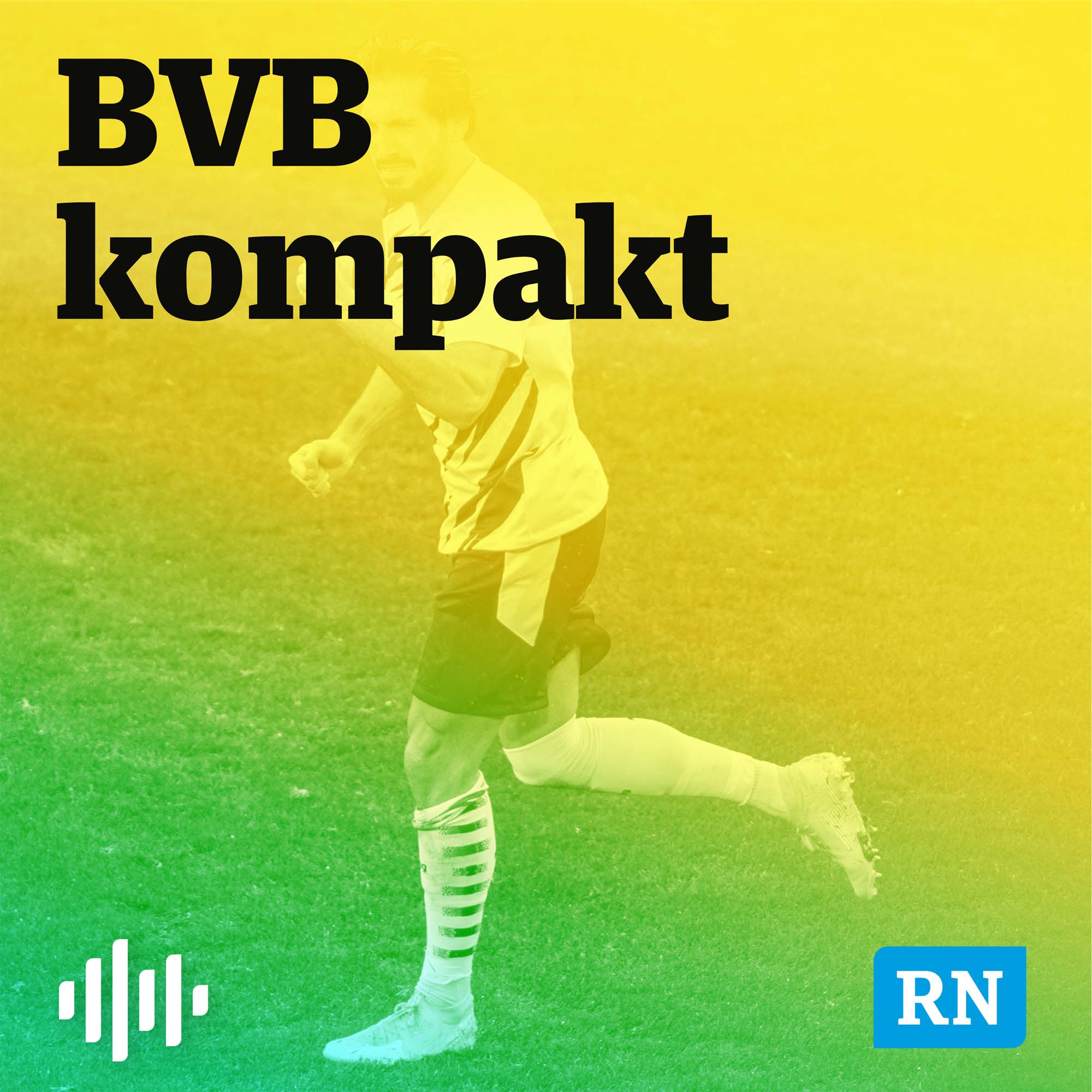 BVB kompakt am Morgen - 25.11.2022