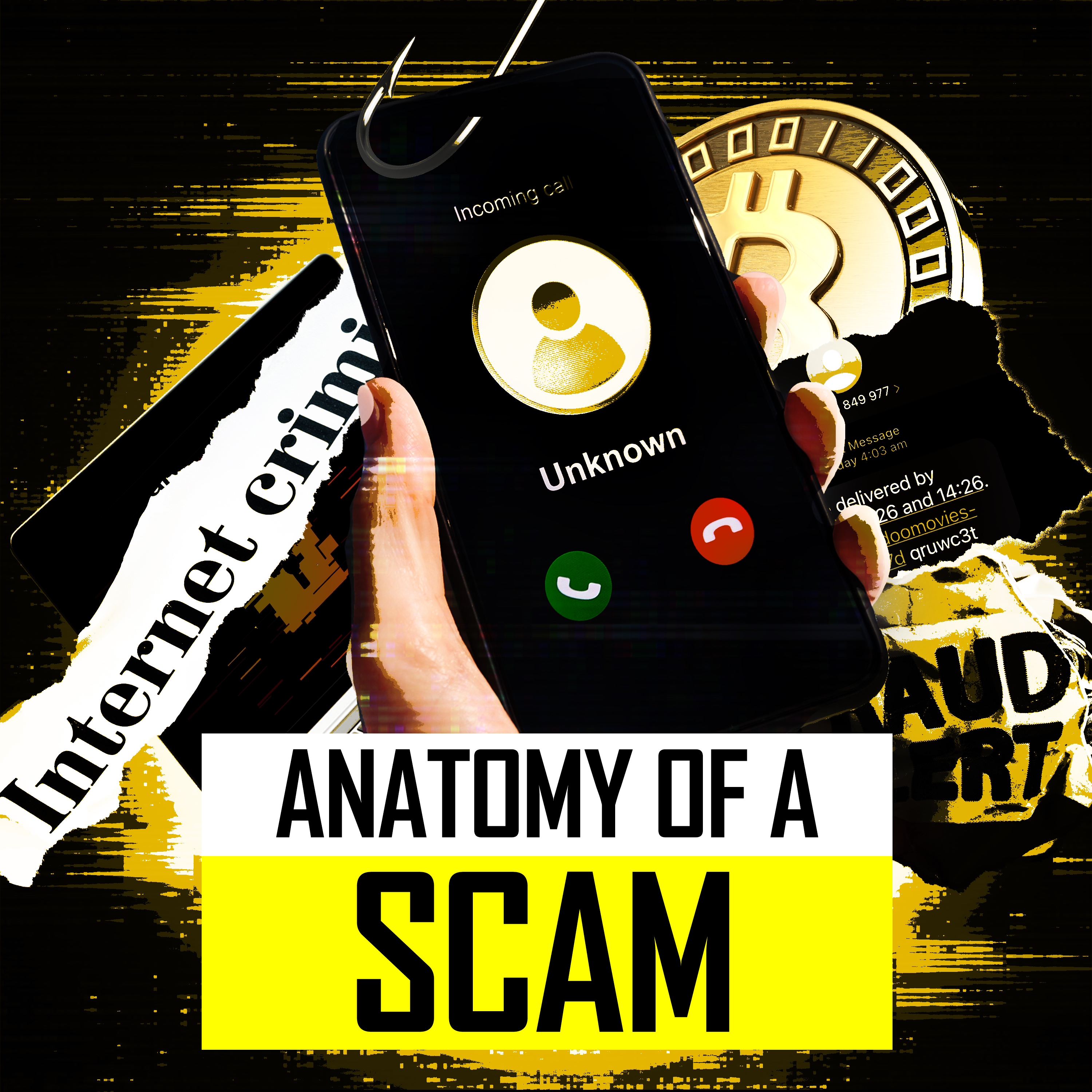 Anatomy of a Scam 