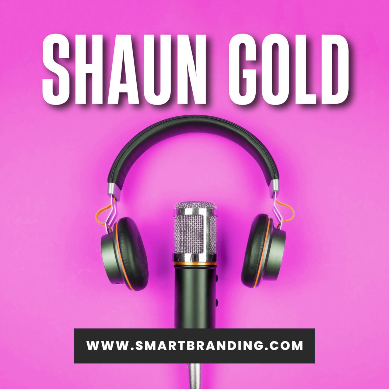 Shaun Gold shares his journey from Nightlife Ninja to entrepreneur, author and CEO advisor