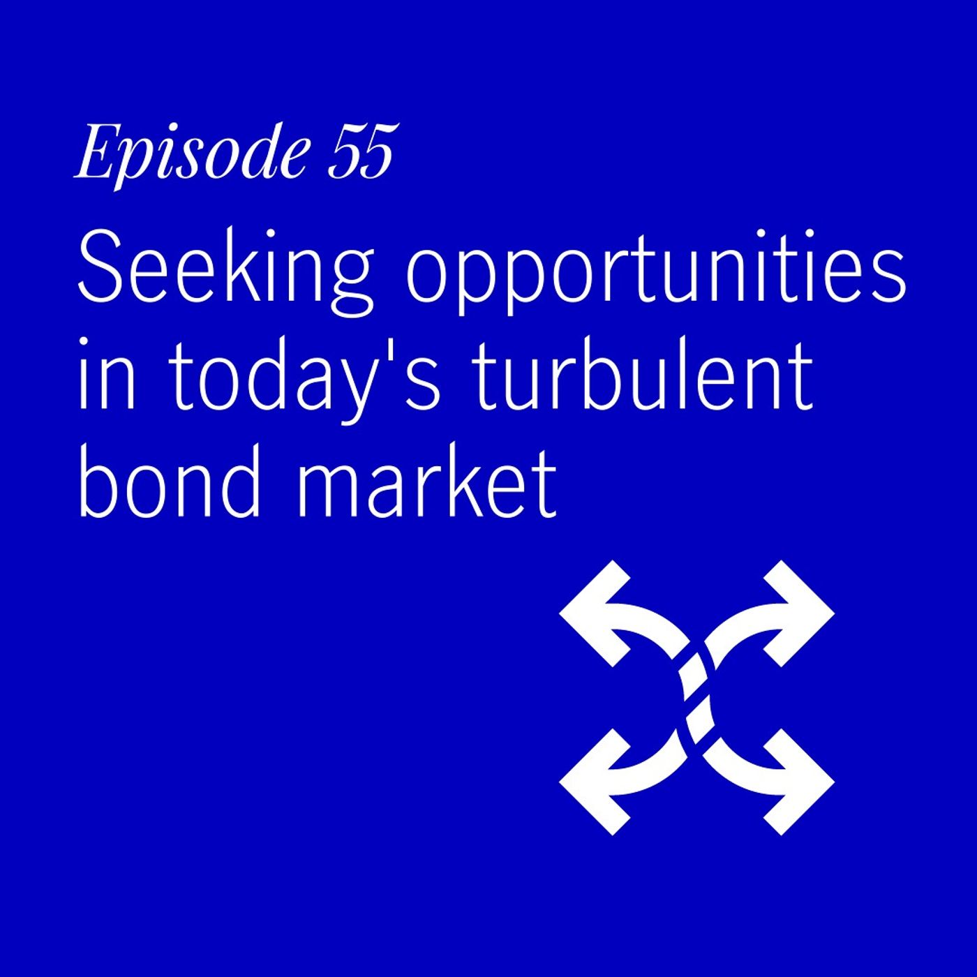 Seeking opportunities in today's turbulent bond market