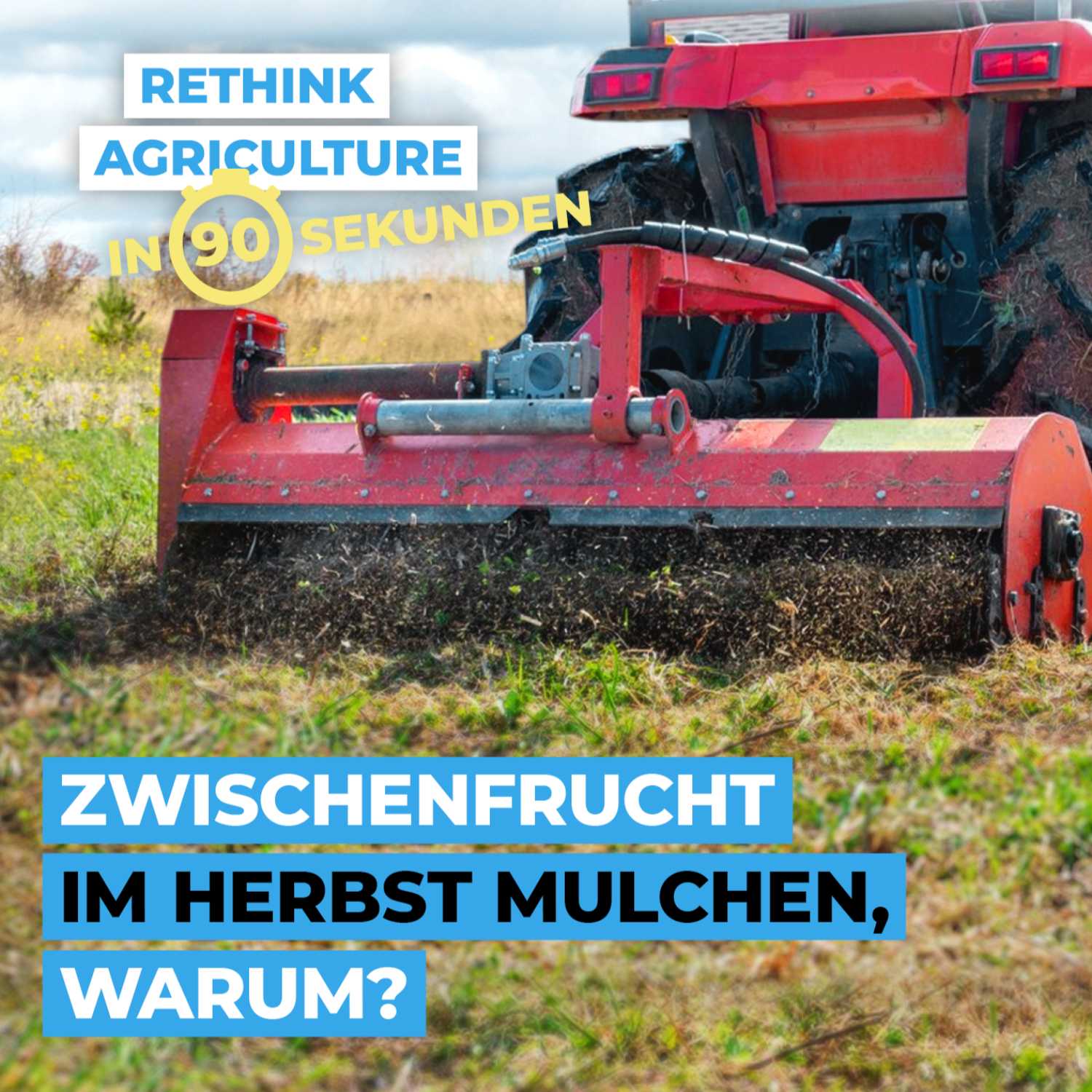 Zwischenfrucht im Herbst mulchen, warum?