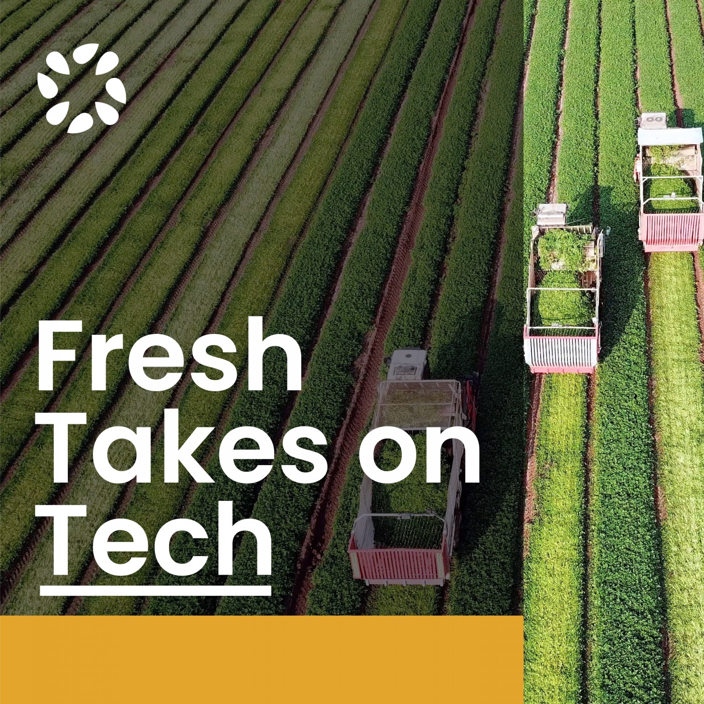 65. Live from IFPA’s Global Show: Technology’s Critical Role in Fresh Produce