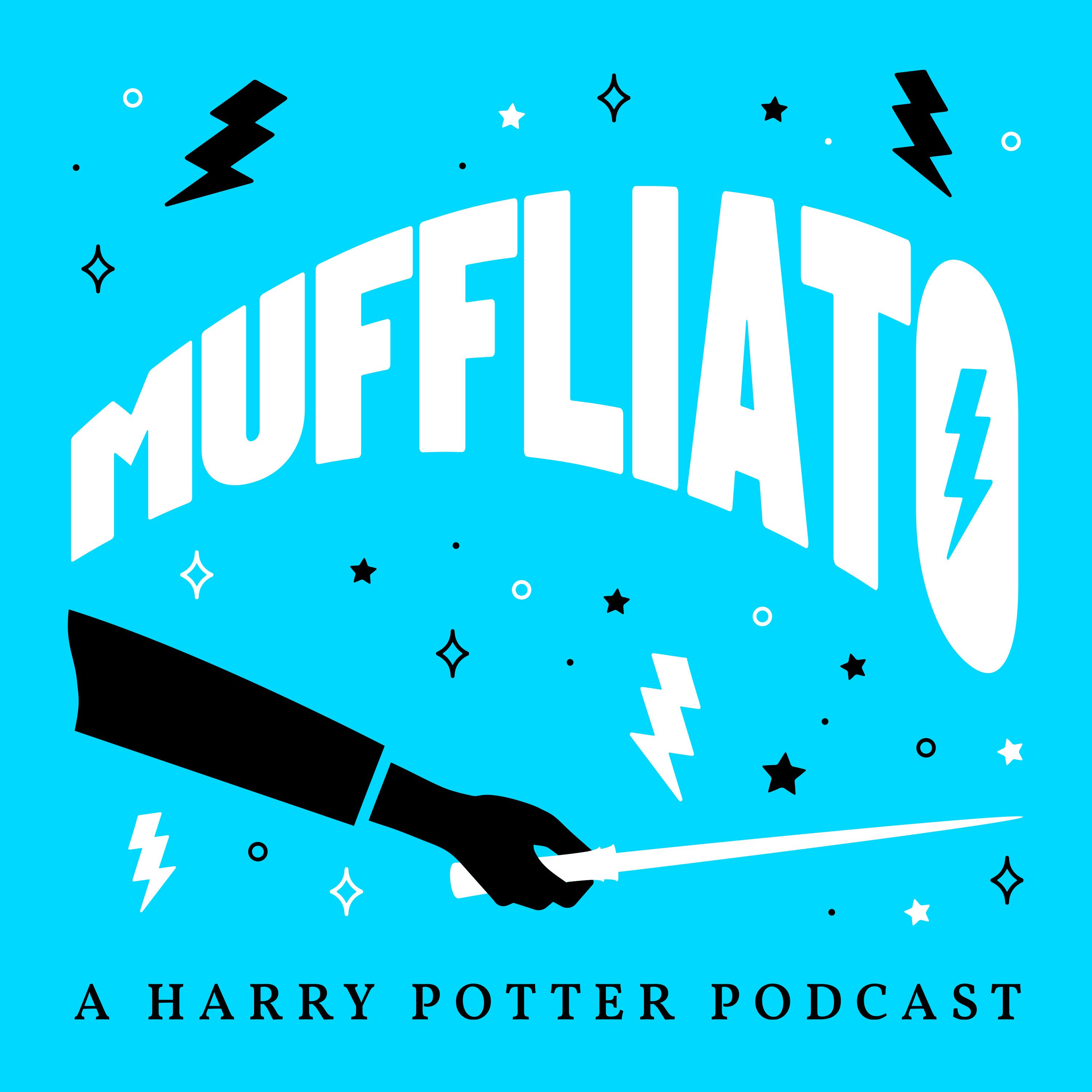 ICYMI | BONUS EPISODE | 'How we got into Harry Potter'