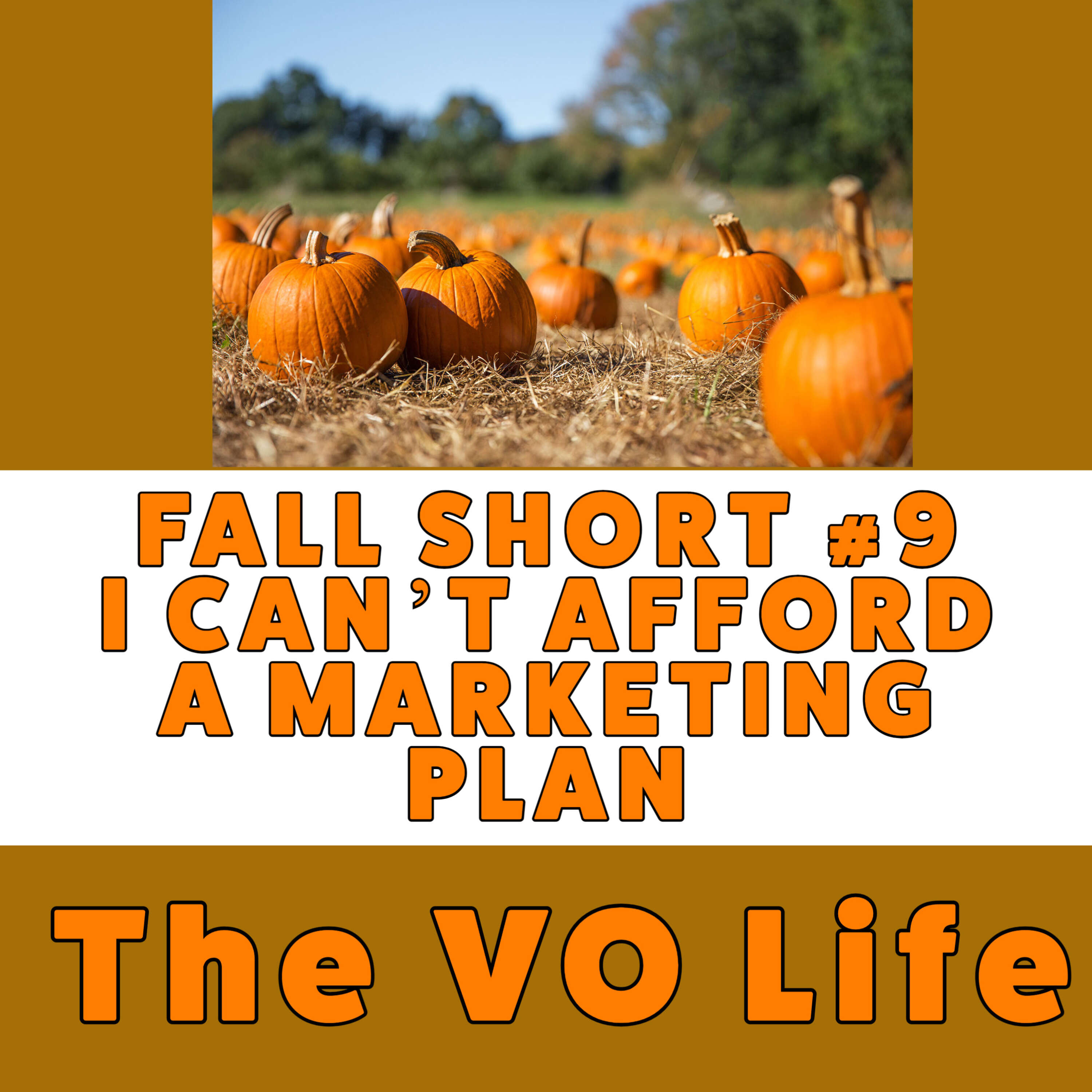 The VO Life Ep 83 - Shorts #9 Marketing Programs