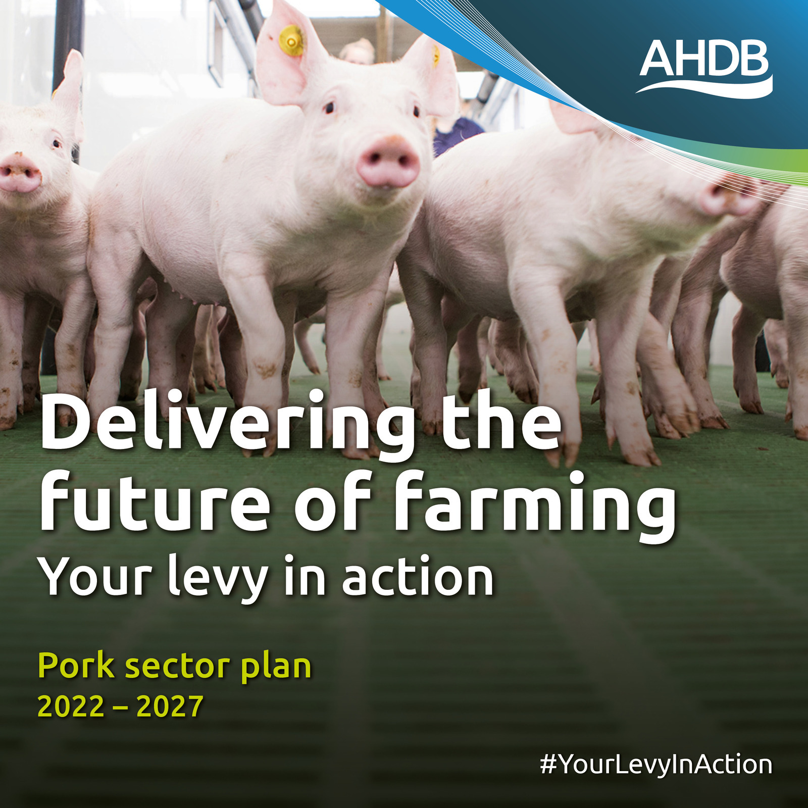 AHDB’s Pork Sector Council publishes 2022–2027 plan