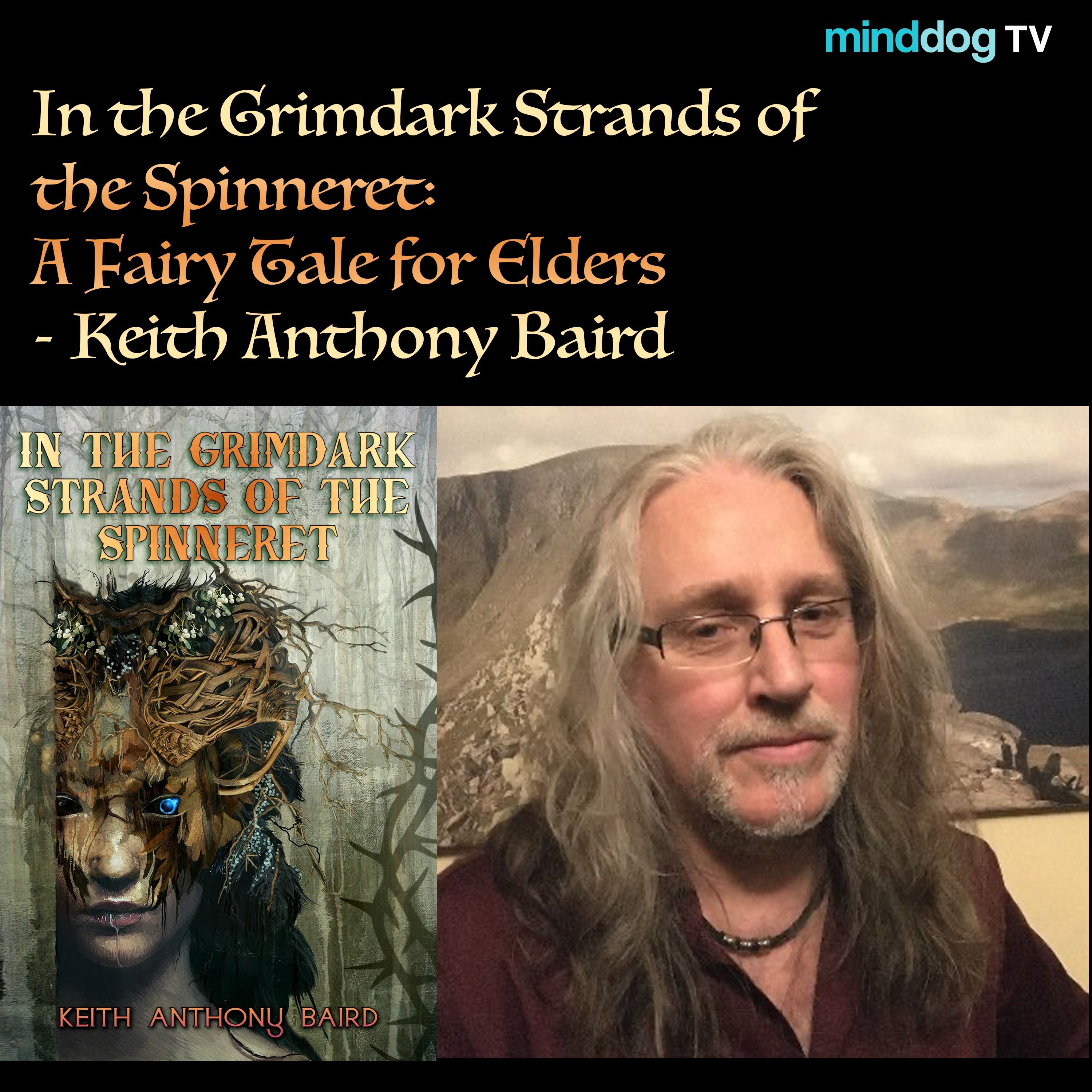 In the Grimdark Strands of the Spinneret: A Fairy Tale for Elders - Keith Anthony Baird