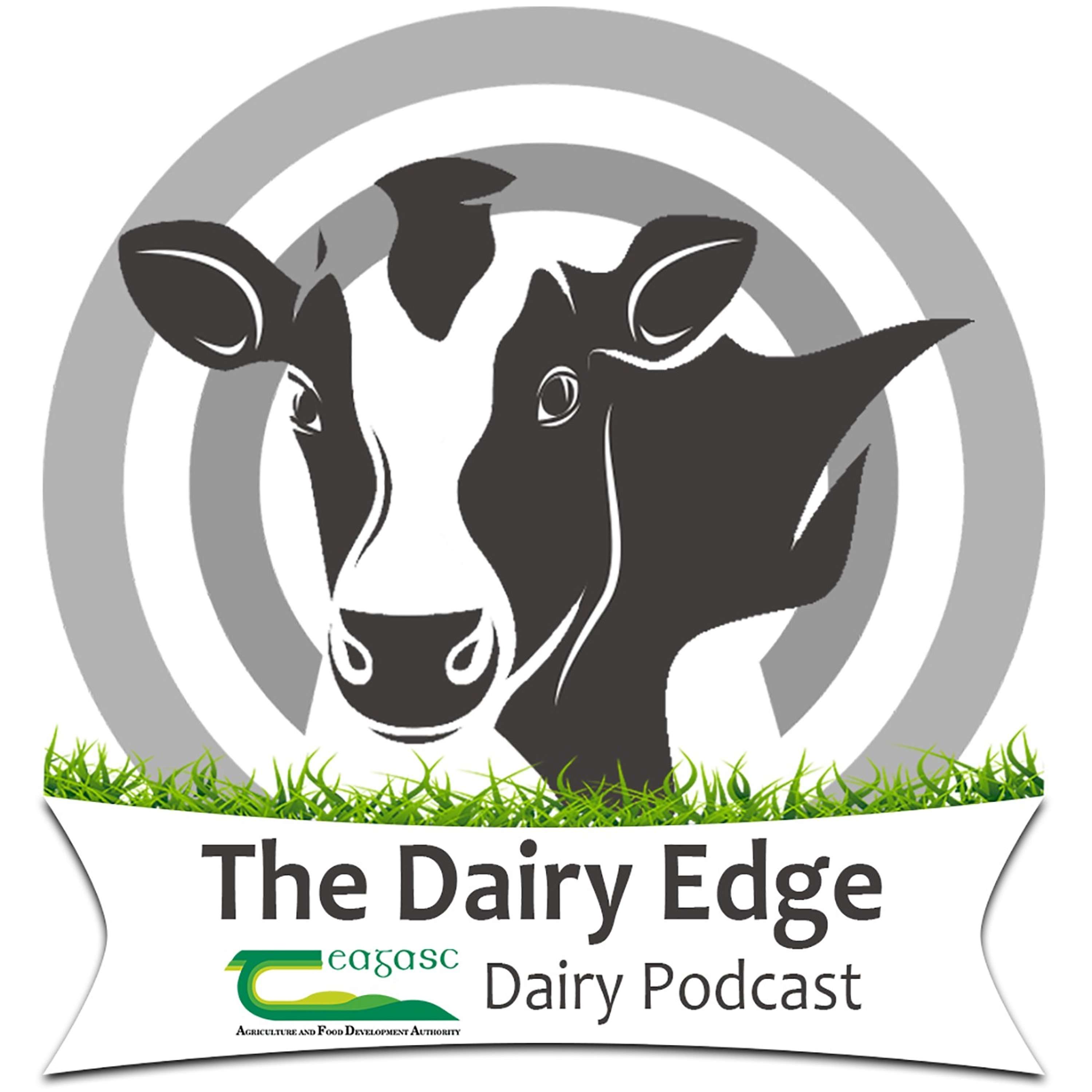 Let's Talk Dairy: Principal types of lameness