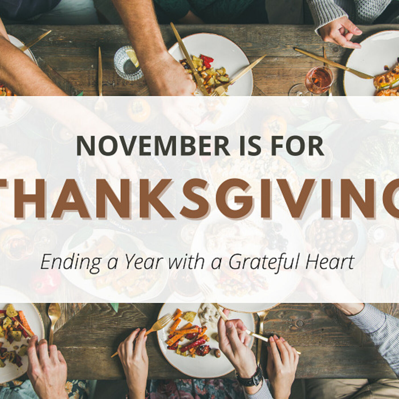 November is for Thanksgiving, Week 3 | November 20th