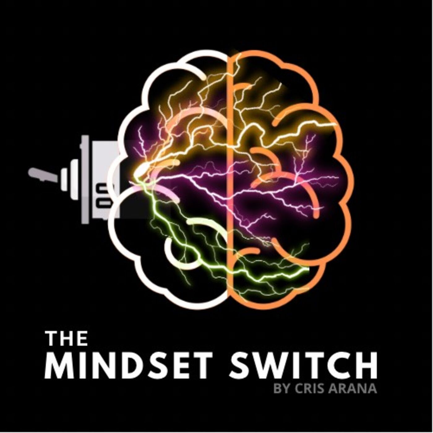 The Mindset Switch 