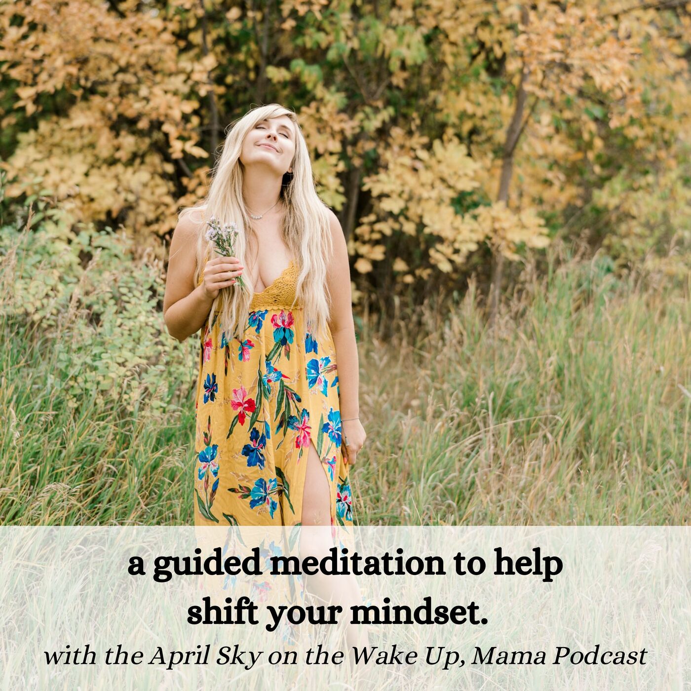 33: A Guided Meditation to Help Shift your Mindset