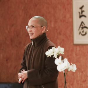 ⁣The Foundation of our Activism — Sr Hội Nghiêm — Plum Village France