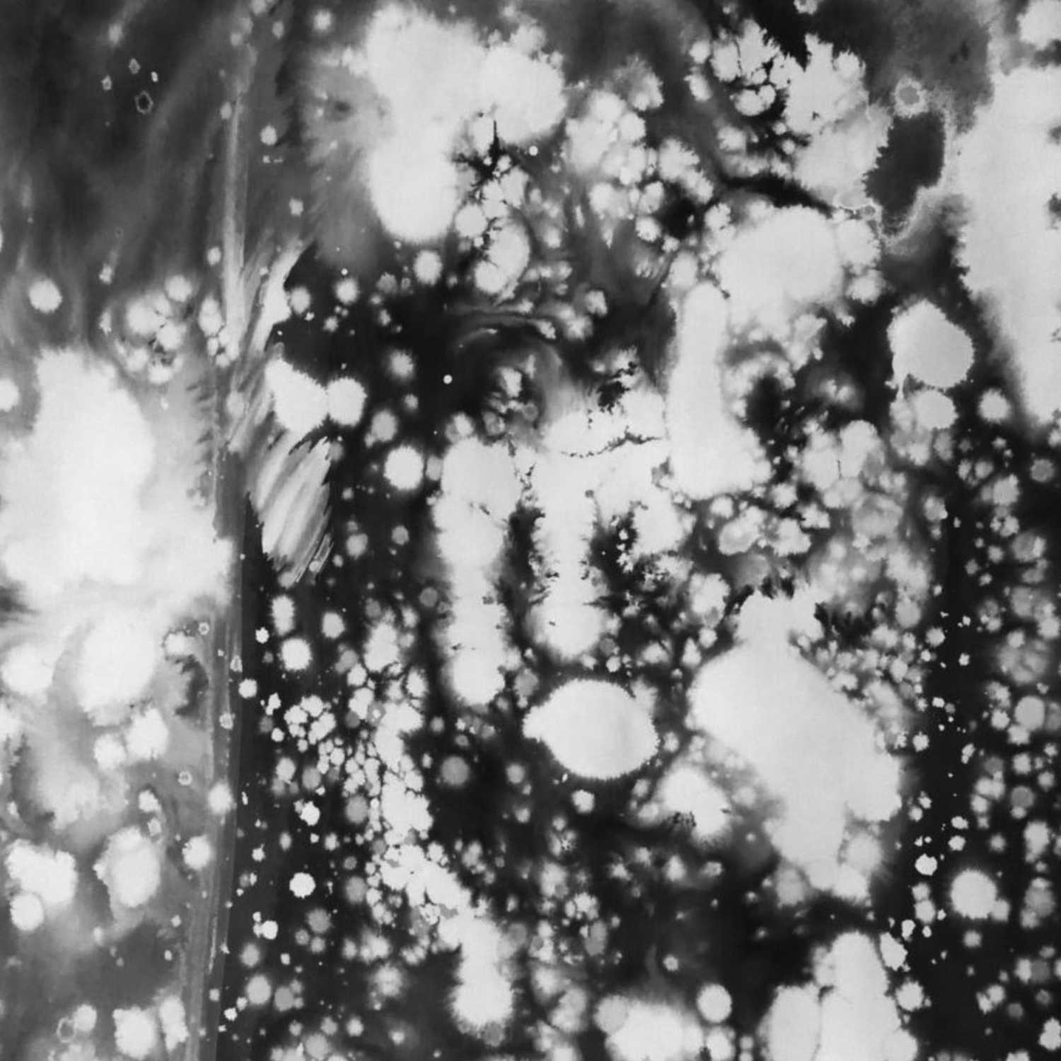 Trick of the Light Part 2