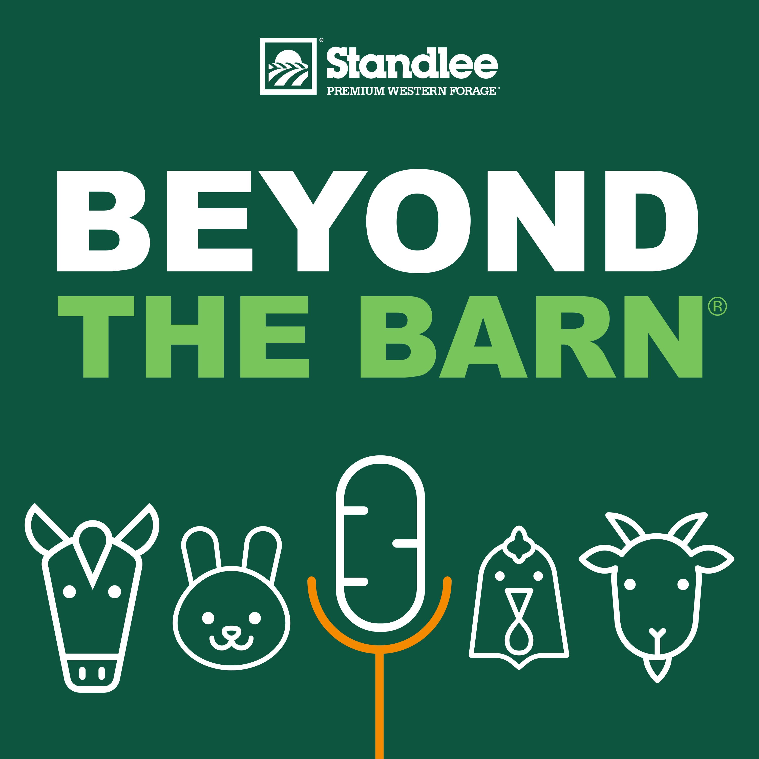 Ep. 047: How Properly Balancing Your Horse’s Diet Can SAVE You Money in the Long Run!