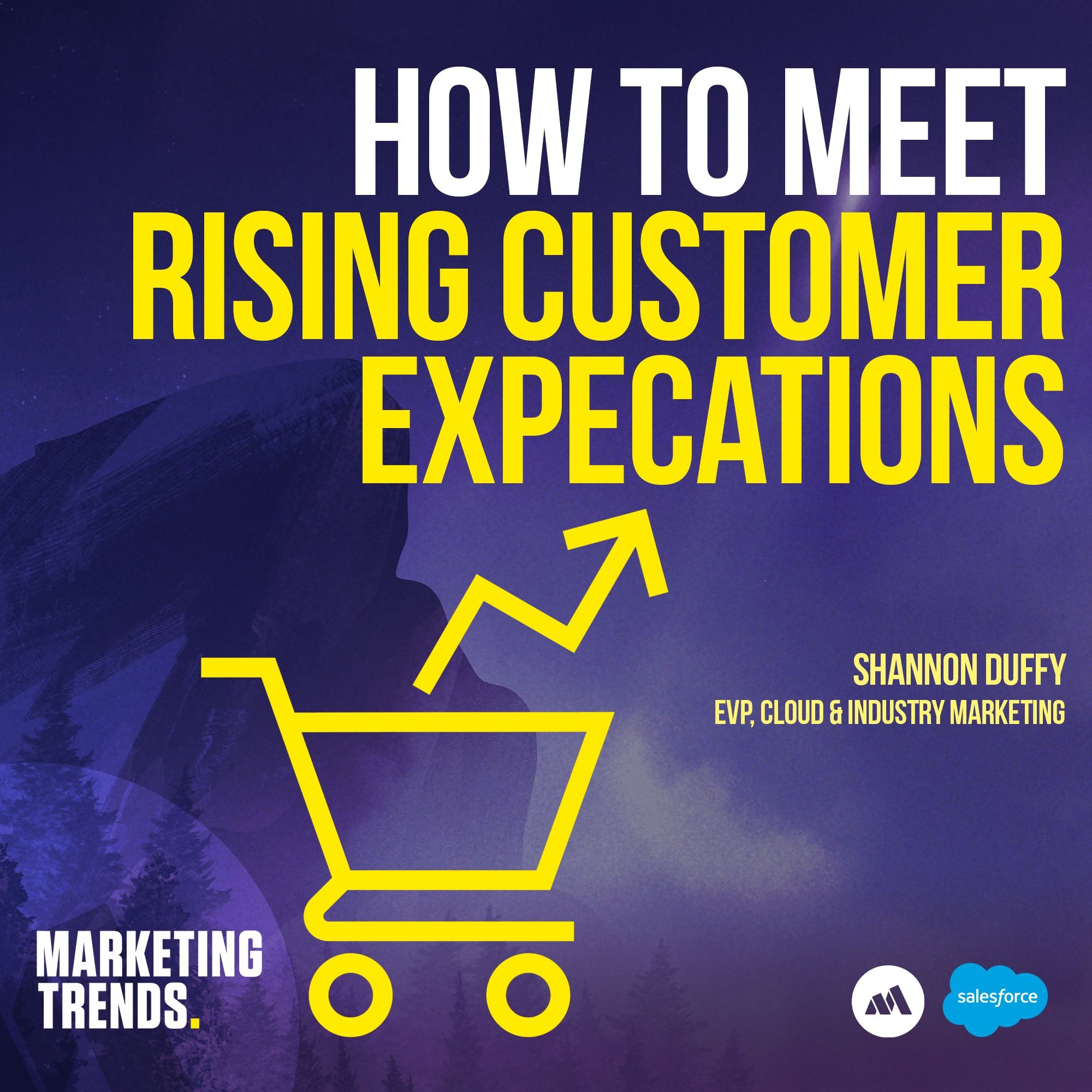 Meet Rising Customer Expectations with Salesforce