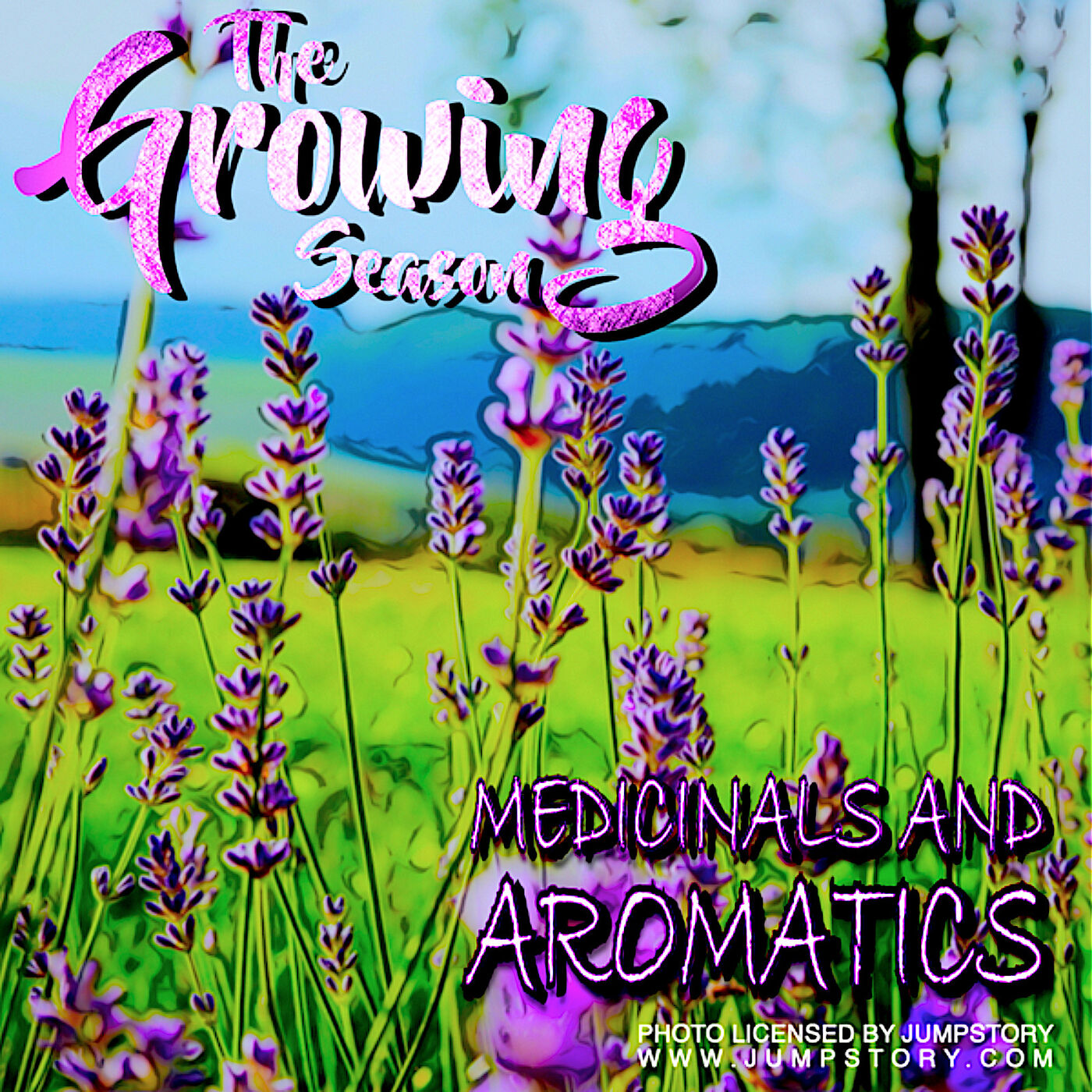 The Growing Season, Nov 26, 2022 - Medicinals and Aromatics