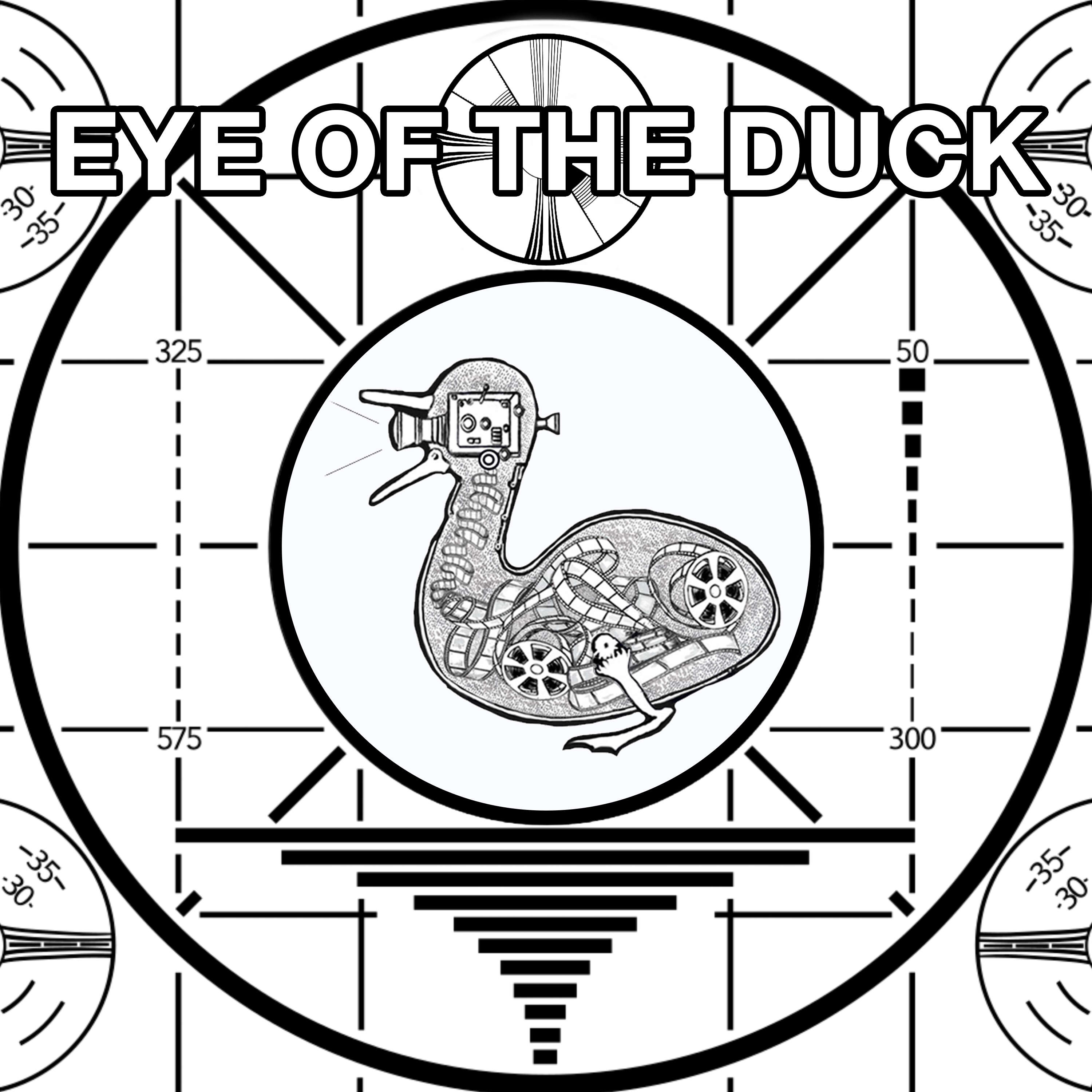 Eye of the Duck 