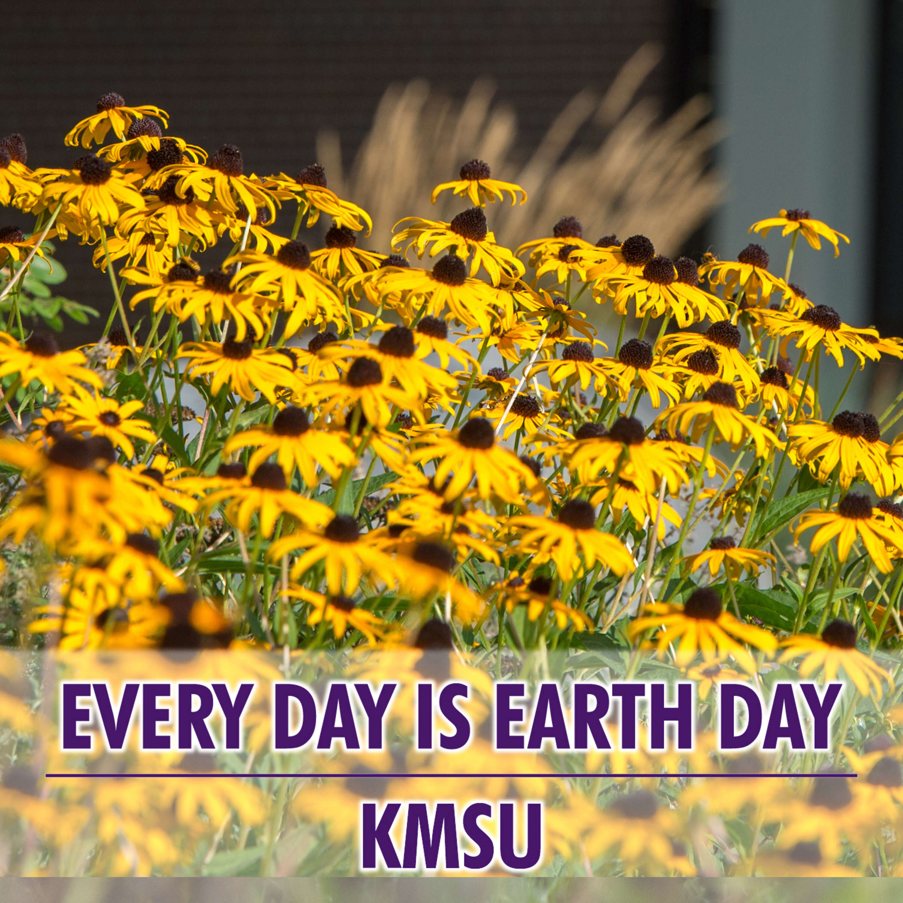 Creating a More Energy Efficient Campus at MNSU