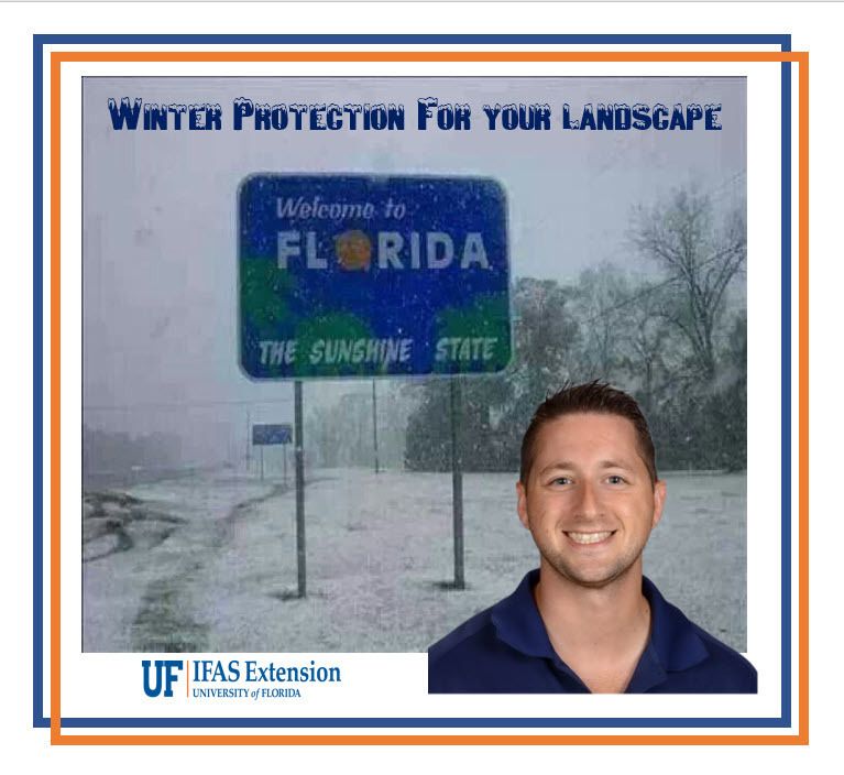 Better Lawns and Gardens - Hour 1 Jeremy Rhoden Winter Protection for Your Landscape November 19, 2022